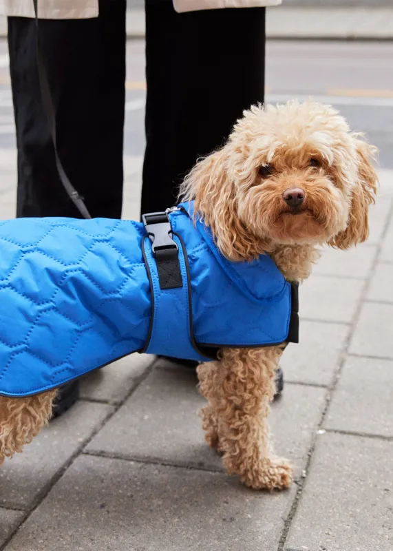 Dog Coat - Palace Blue sold by brgn