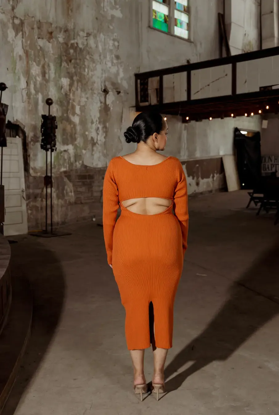 “As One” Knit Dress sold by Etela Petite product image thumbnail 2