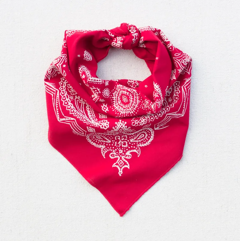 Red Sketched Paisley Bandana sold by Abracadana
