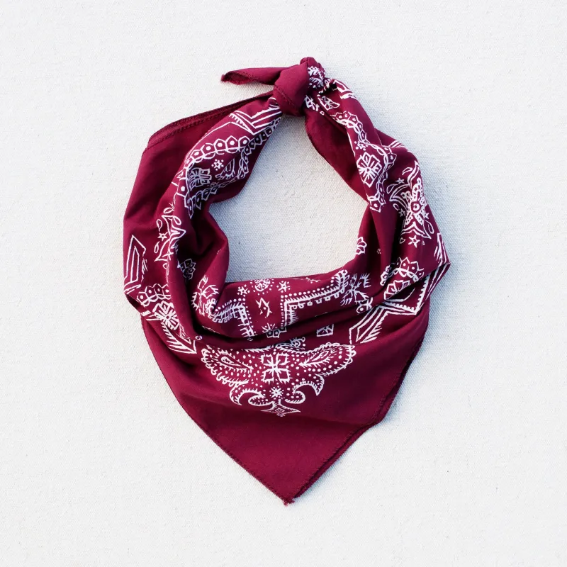 Wine Sketched Paisley Bandana sold by Abracadana