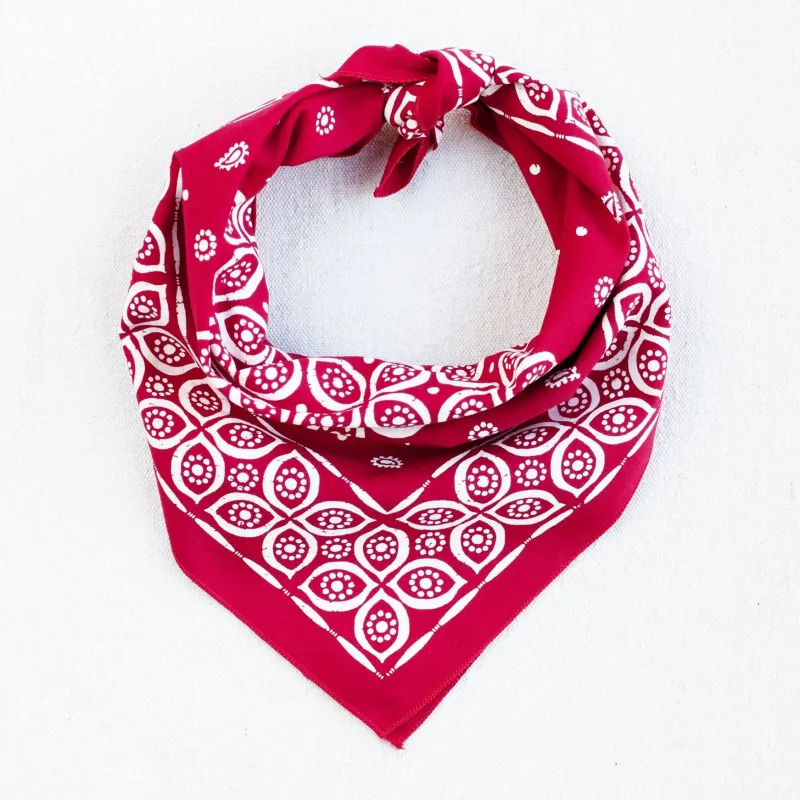 Red Paisley Eye Bandana sold by Abracadana
