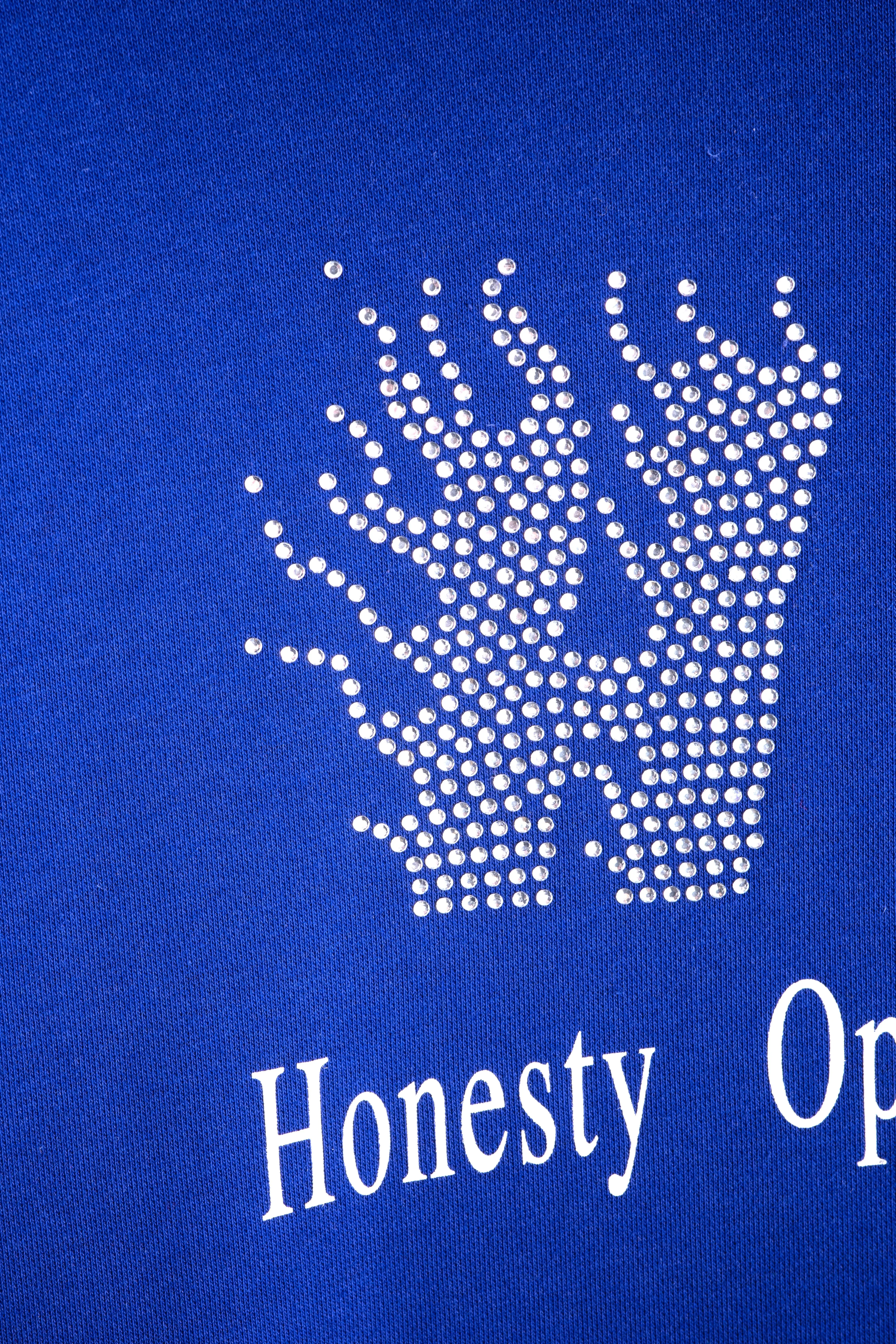 HONESTY OPENNESS TRANSPARENCY HOODIE- RHINESTONE sold by Junglesjungles product image thumbnail 4