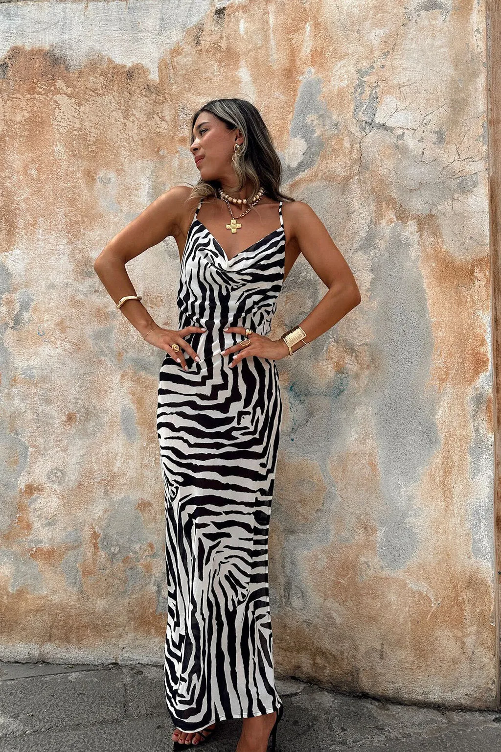 Gianna Zebra Cowl Neck Chiffon Maxi Dress sold by 12th Tribe