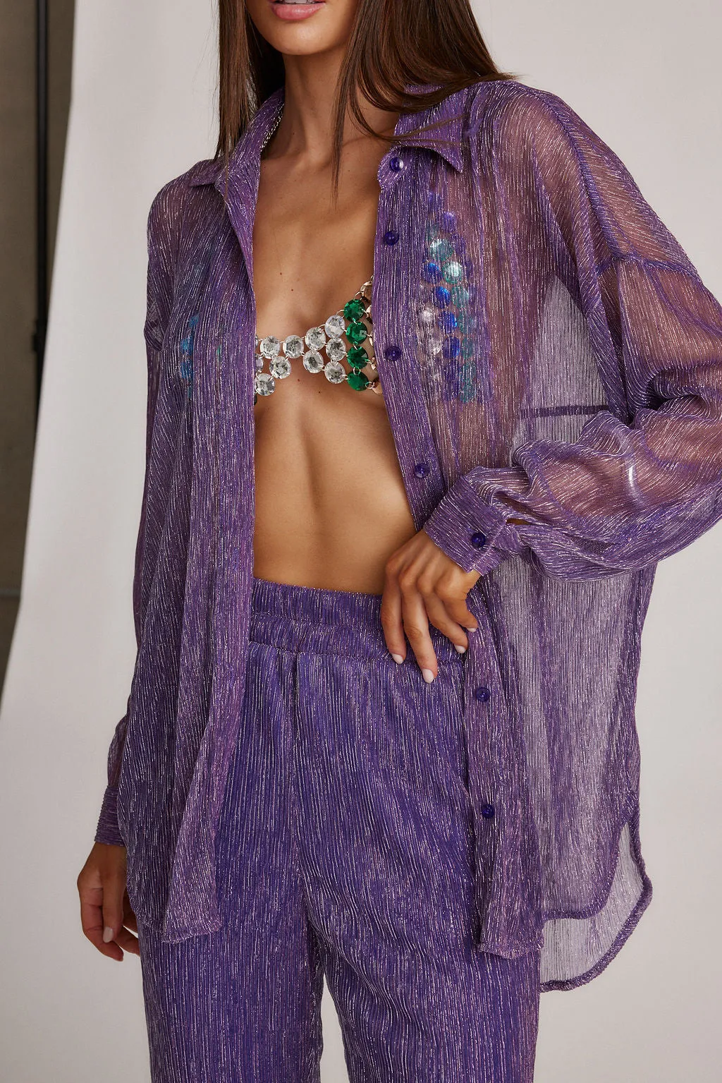 Victoria Purple Sheer Long Sleeve Button Up Top sold by 12th Tribe product image thumbnail 3