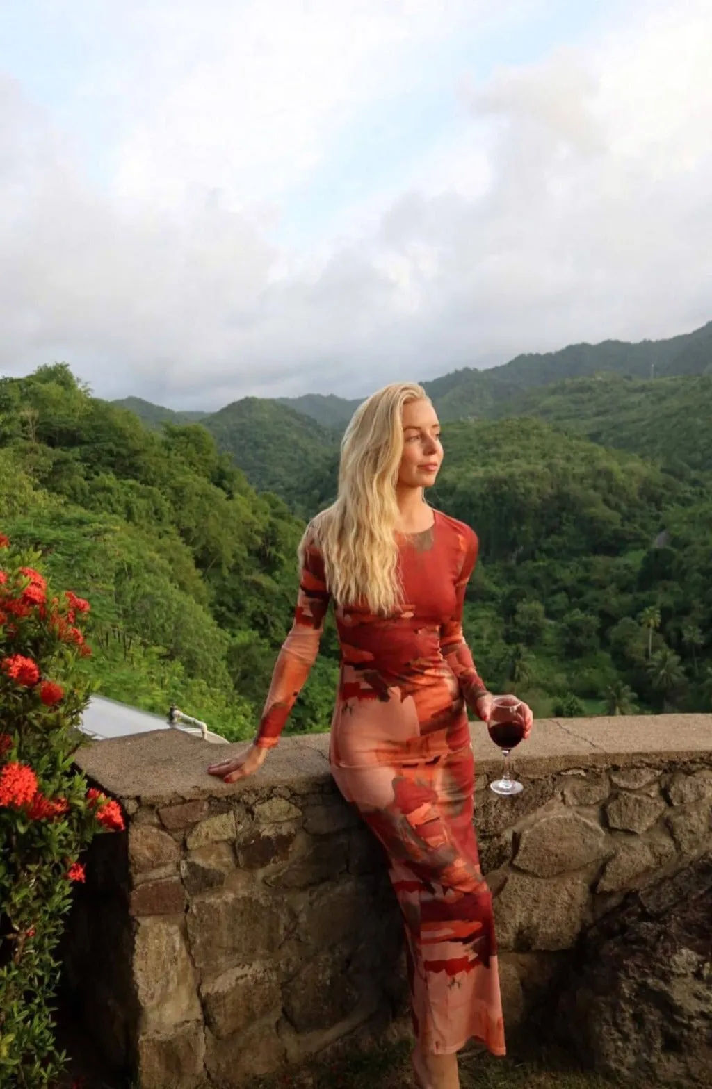 Casanova Printed Mesh Maxi Dress sold by 12th Tribe product image thumbnail 4