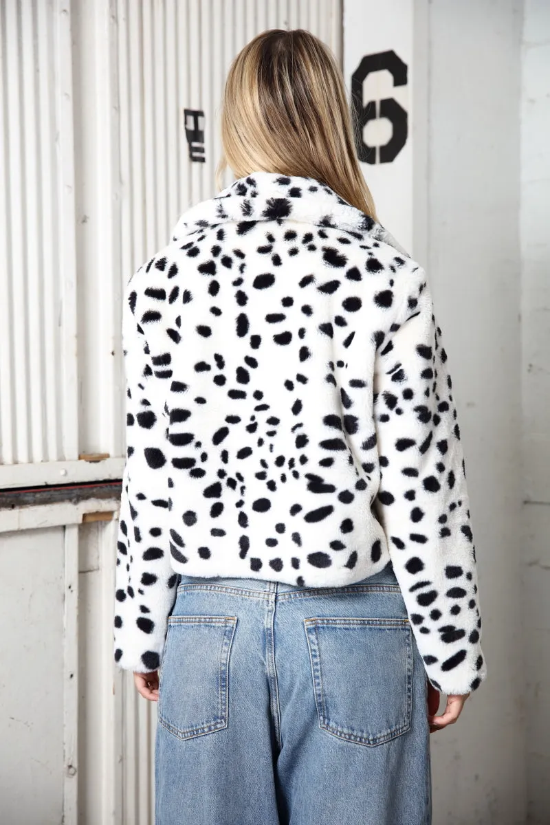 SP15814 / OFF WHITE BLACK DALMATIAN sold by 26 International product image thumbnail 5