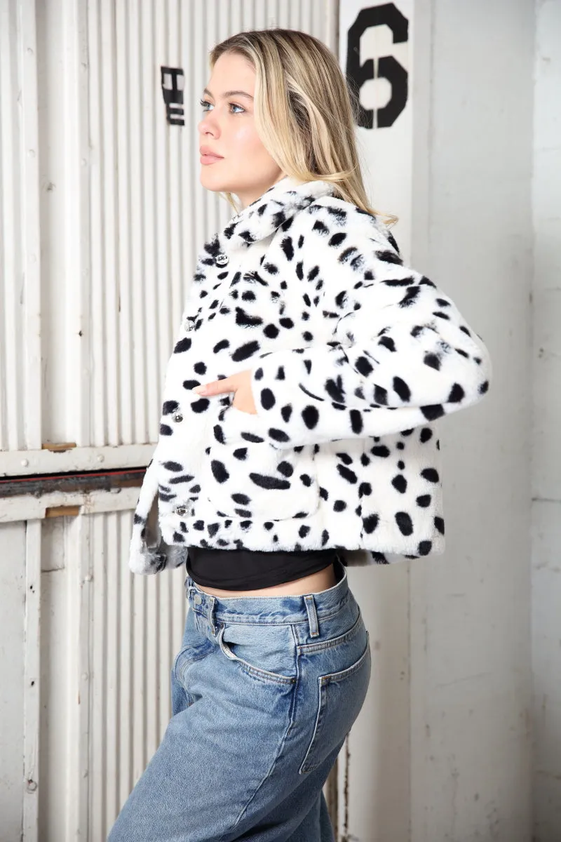 SP15814 / OFF WHITE BLACK DALMATIAN sold by 26 International product image thumbnail 3