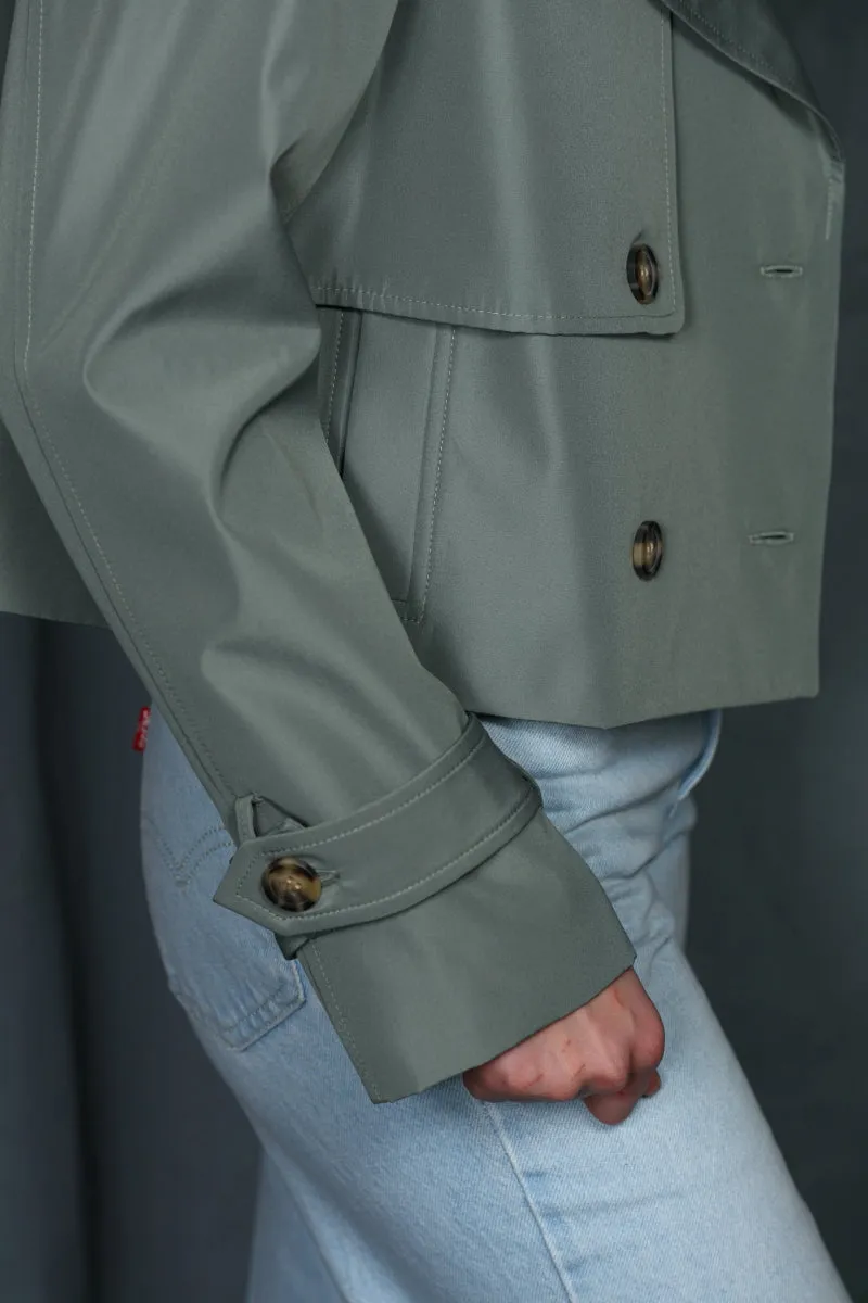 15703 / SAGE sold by 26 International product image thumbnail 4