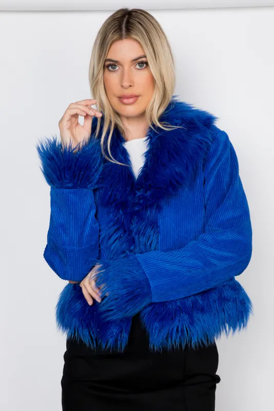 13706 / SURF THE WEB sold by 26 International