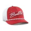 CHICAGO BULLS DOWNBURST '47 TRUCKER sold by 47