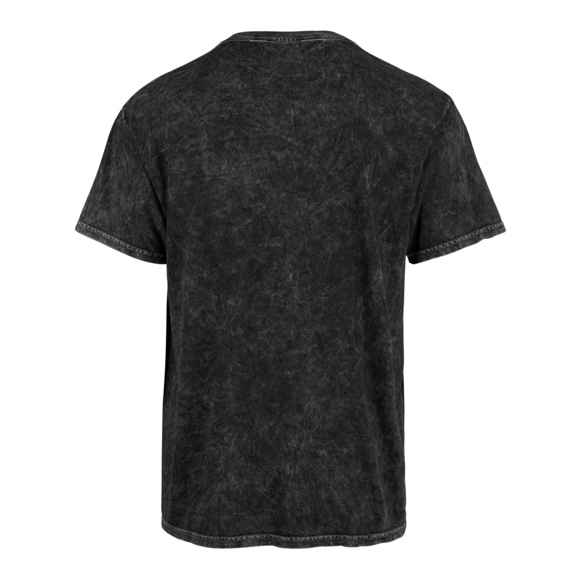 LAS VEGAS RAIDERS STONEY CLOVER LANE X '47 TUBULAR TEE sold by 47 product image thumbnail 2