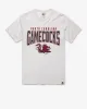 SOUTH CAROLINA GAMECOCKS TEAM ELEMENTS ARCH '47 FRANKLIN TEE sold by 47