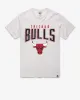 CHICAGO BULLS TEAM ELEMENTS ARCH '47 FRANKLIN TEE sold by 47