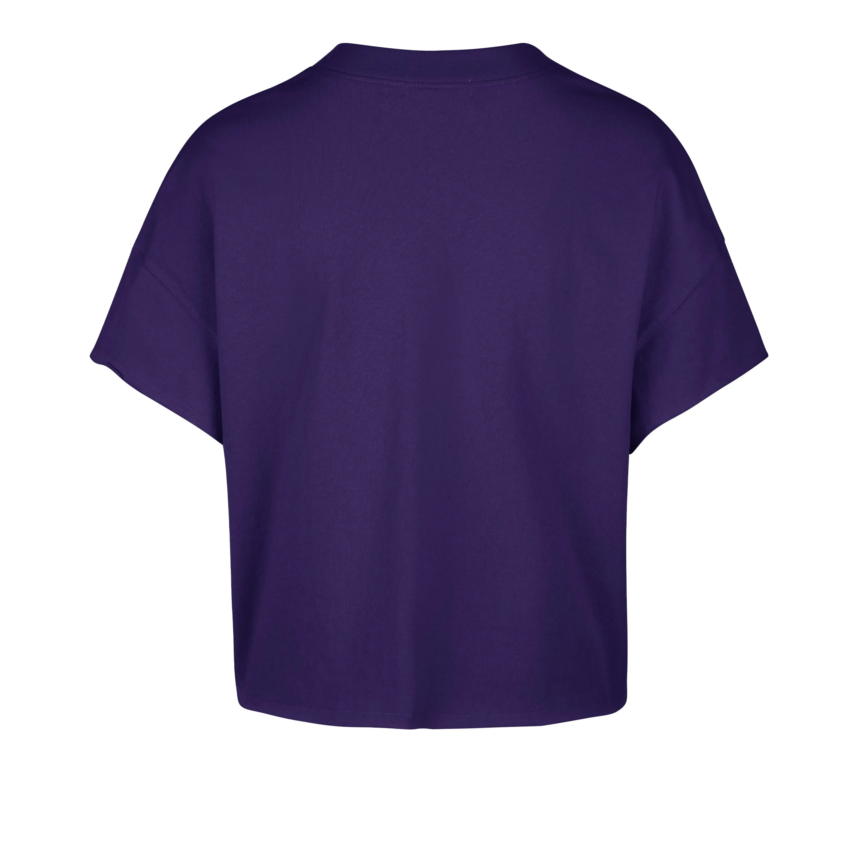 MINNESOTA VIKINGS ELATION '47 OVERSIZED NOTCH NECK TEE WOMENS sold by 47 product image thumbnail 2