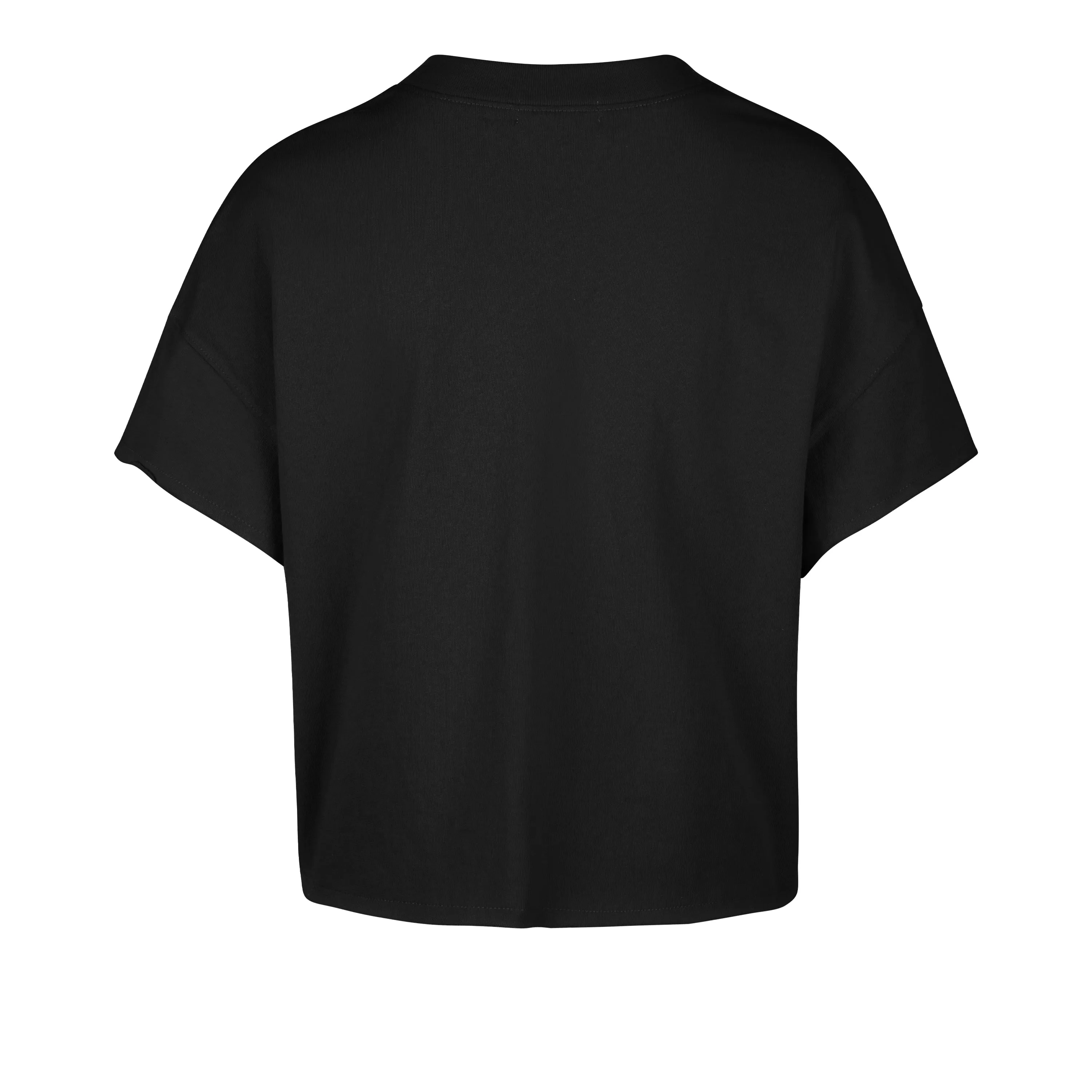 CAROLINA PANTHERS ELATION '47 OVERSIZED NOTCH NECK TEE WOMENS sold by 47 product image thumbnail 2