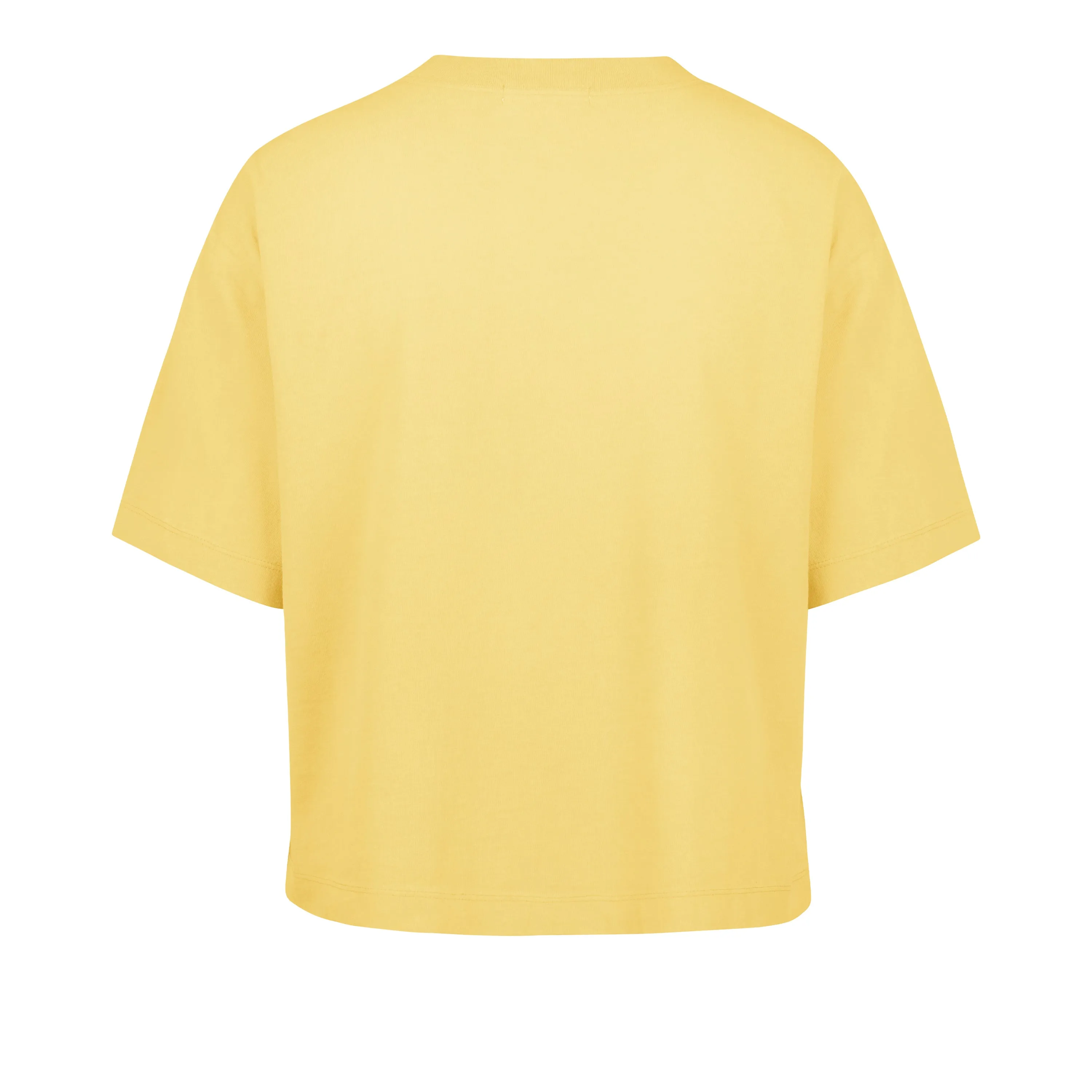 MINNESOTA GOLDEN GOPHERS WINDTHROW '47 RAVINE CROP TEE WOMENS sold by 47 product image thumbnail 2