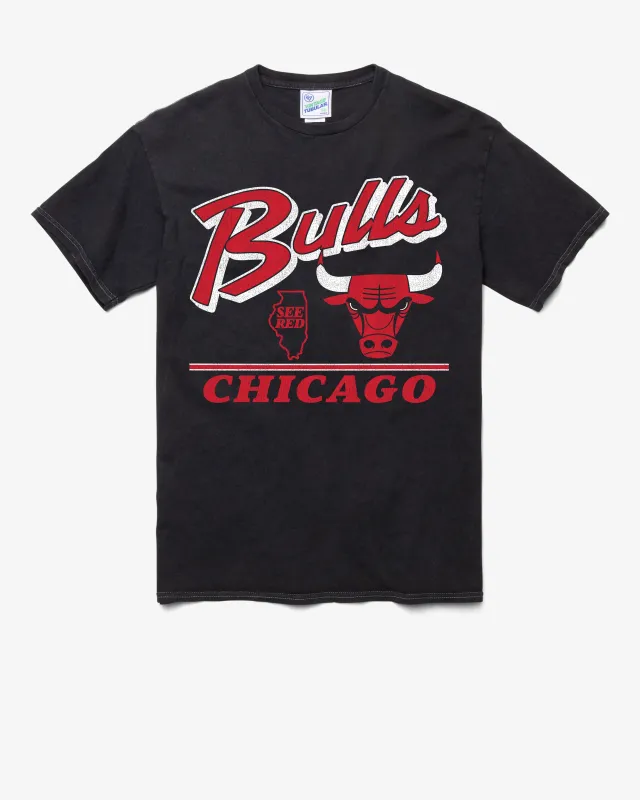 CHICAGO BULLS FLY BY VINTAGE '47 TUBULAR TEE sold by 47
