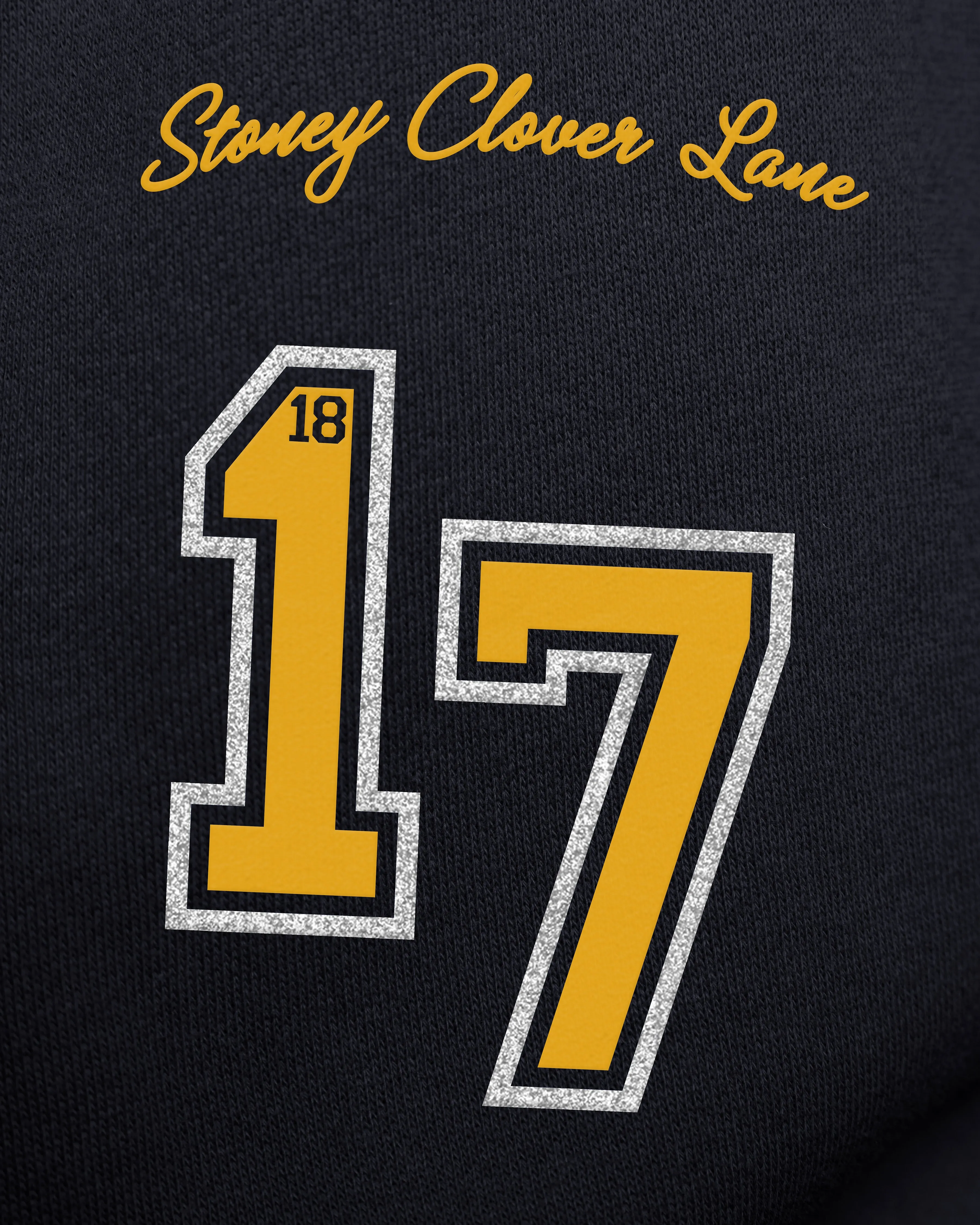 MICHIGAN WOLVERINES STONEY CLOVER LANE X '47 OVERSIZED GLITTER ARCH CREW WOMENS sold by 47 product image thumbnail 3