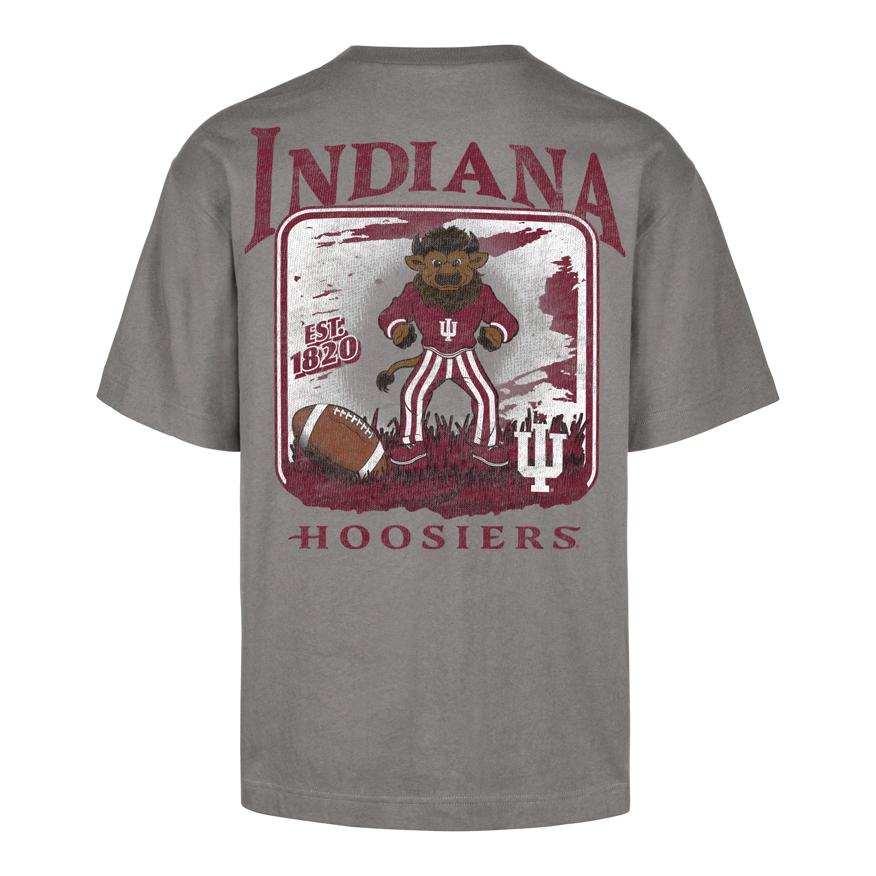 INDIANA HOOSIERS REGIONAL BACKER '47 FOUNDATION TEE sold by 47 product image thumbnail 2
