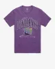 TAMPA BAY RAYS COOPERSTOWN DOUBLE HEADER '47 FRANKLIN TEE sold by 47