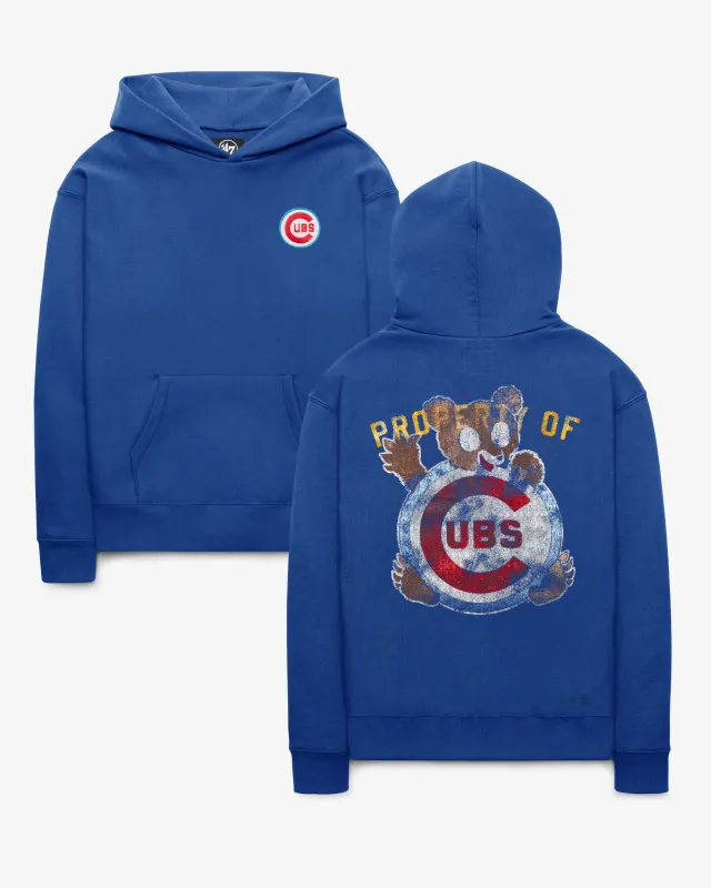 CHICAGO CUBS COOPERSTOWN '47 SELECT FOUNDATION HOOD made by 47