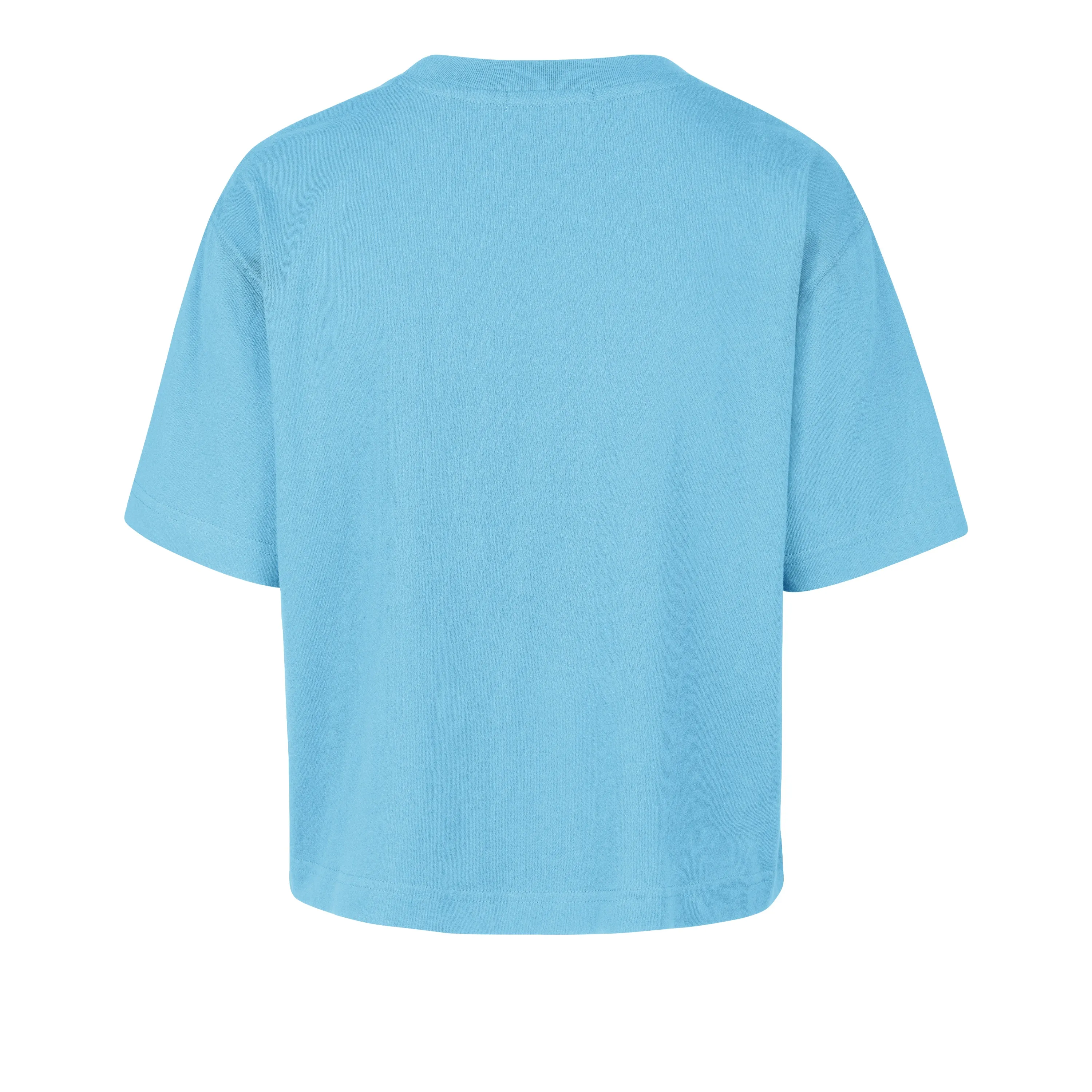 NORTH CAROLINA TAR HEELS UNC VINTAGE FIRST RANK '47 FOUNDATION CROP TEE WOMENS sold by 47 product image thumbnail 2