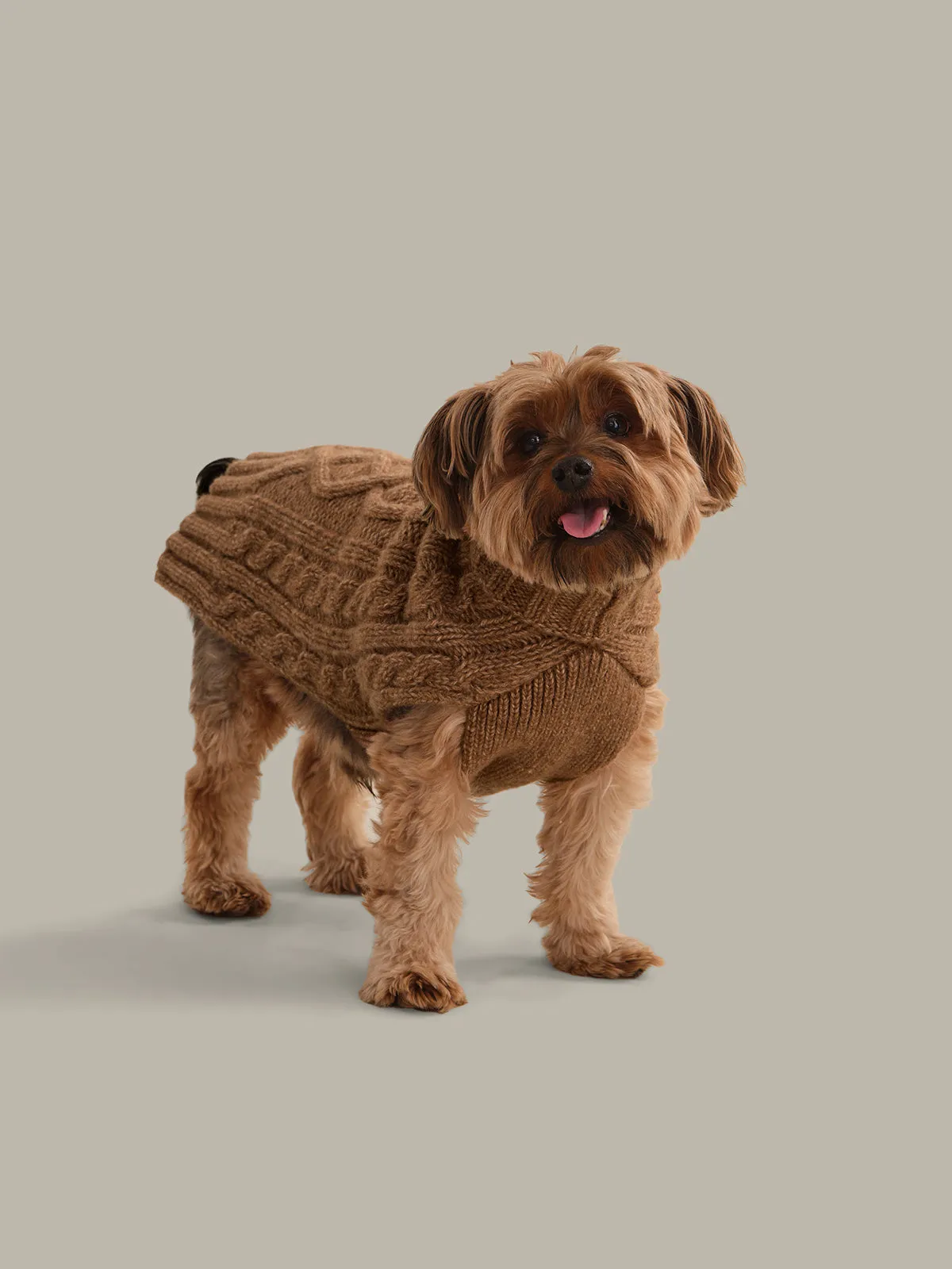 Cable Wool Blend Dog Sweater sold by 525 America product image thumbnail 3