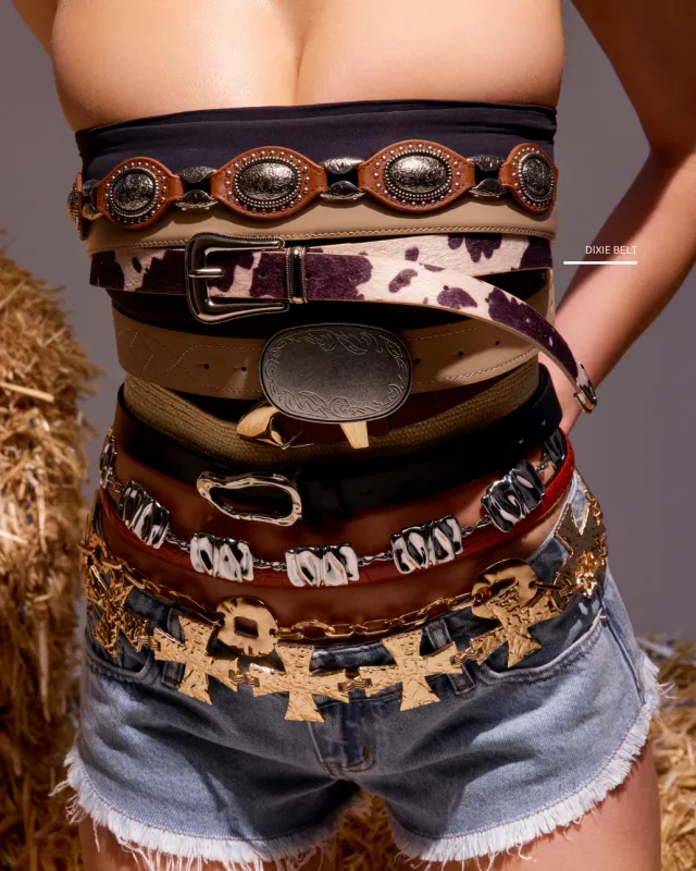 DIXIE BELT sold by 8 Other Reasons