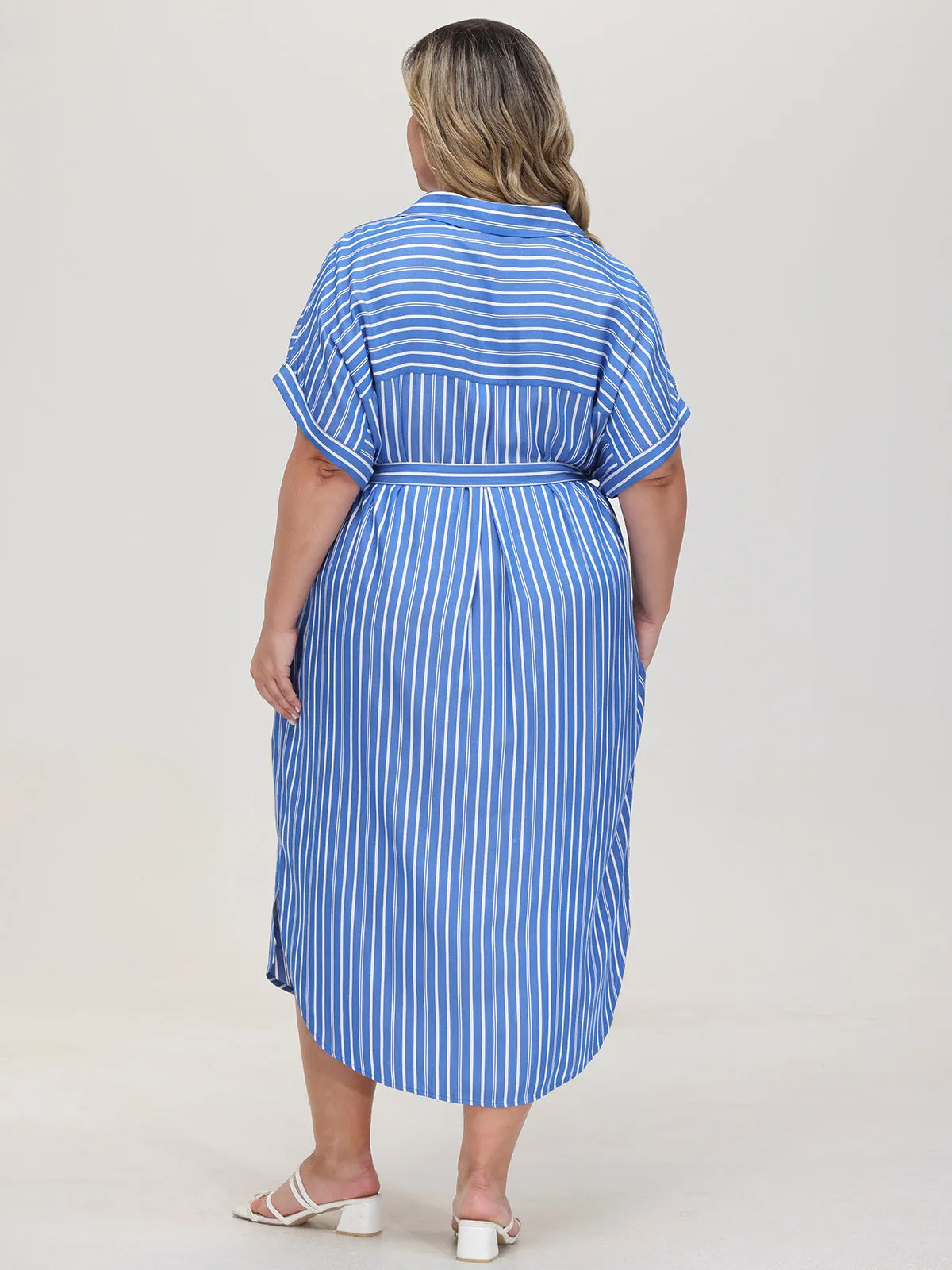 Plus Stripe Belted Shirtdress sold by 89th & Madison product image thumbnail 2