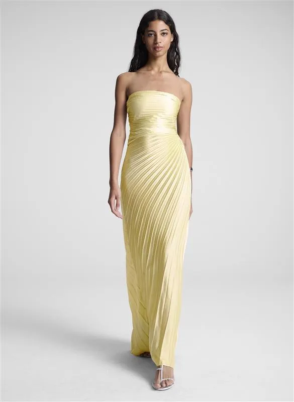 Bianca Strapless Pleated Maxi Dress sold by A.L.C.