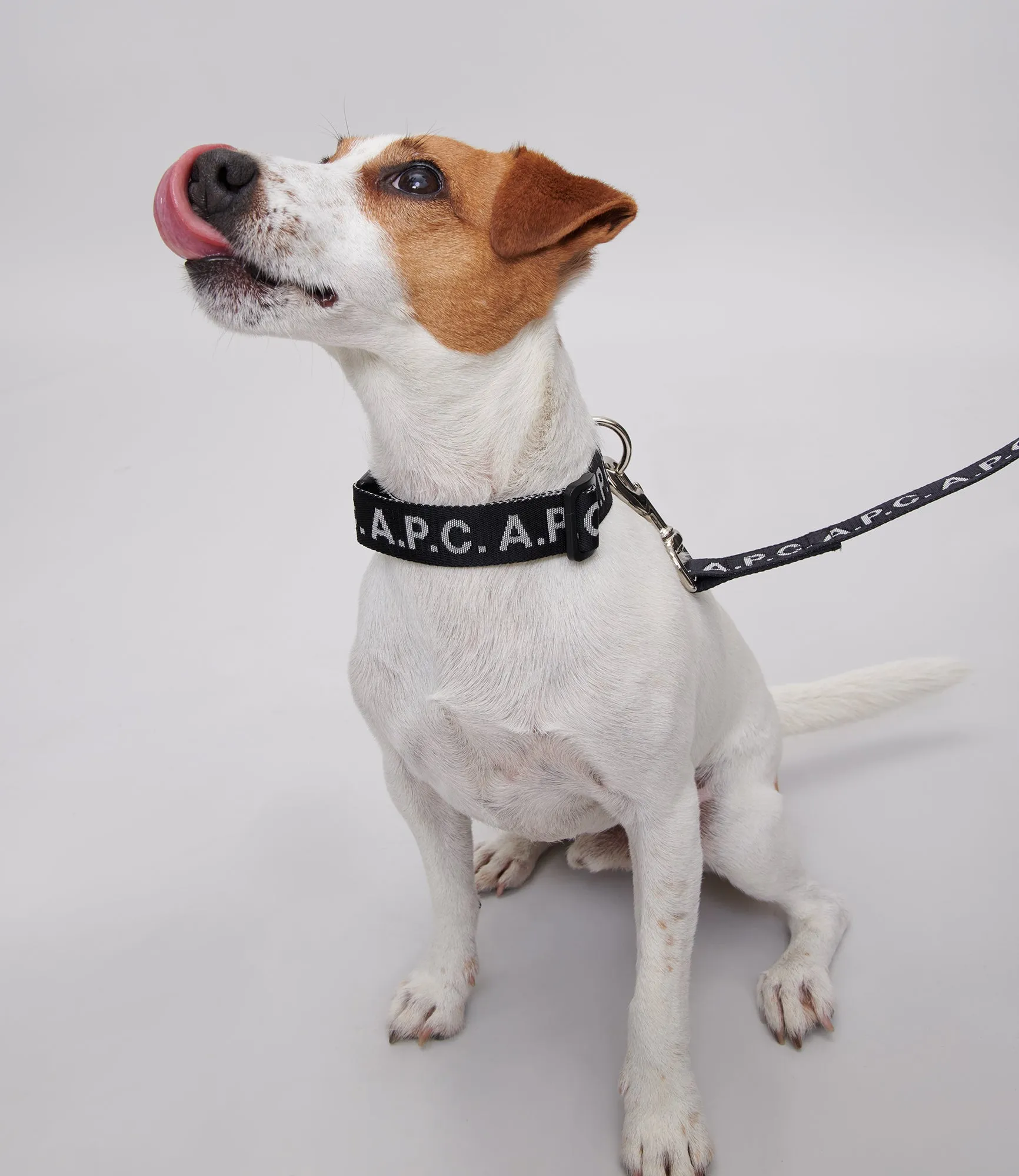 Toutou Logo leash sold by A.P.C. product image thumbnail 4