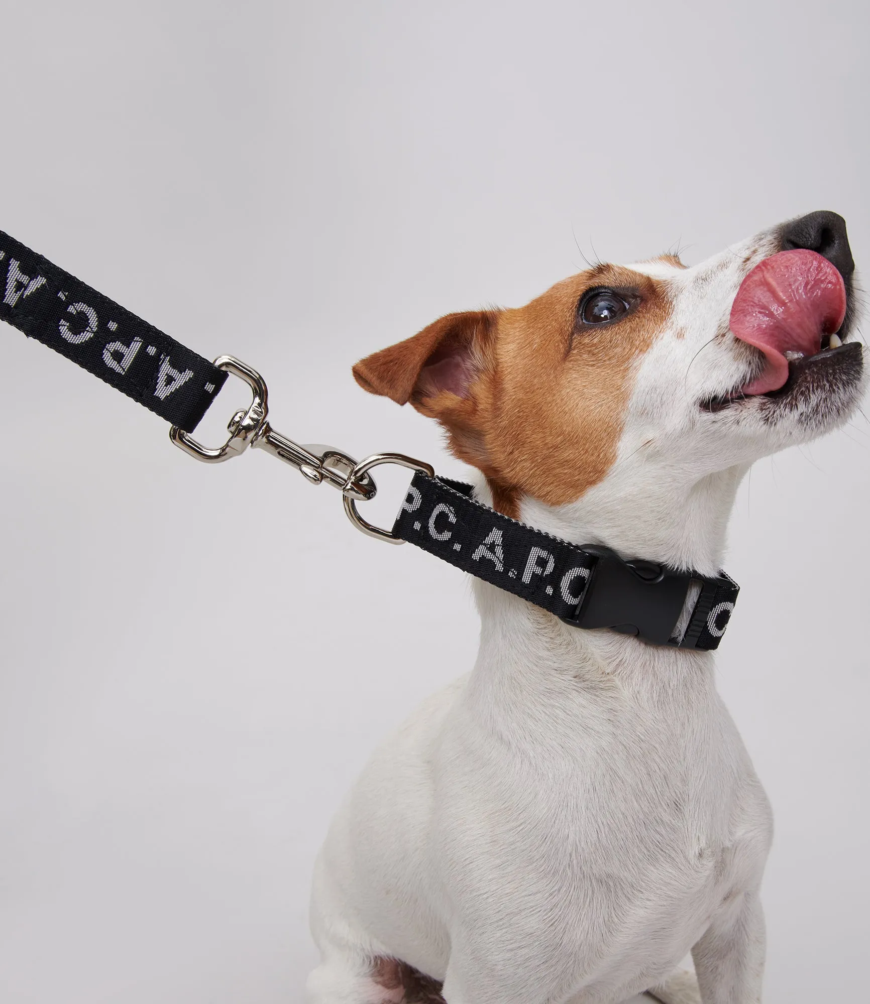 Toutou Logo leash sold by A.P.C. product image thumbnail 2