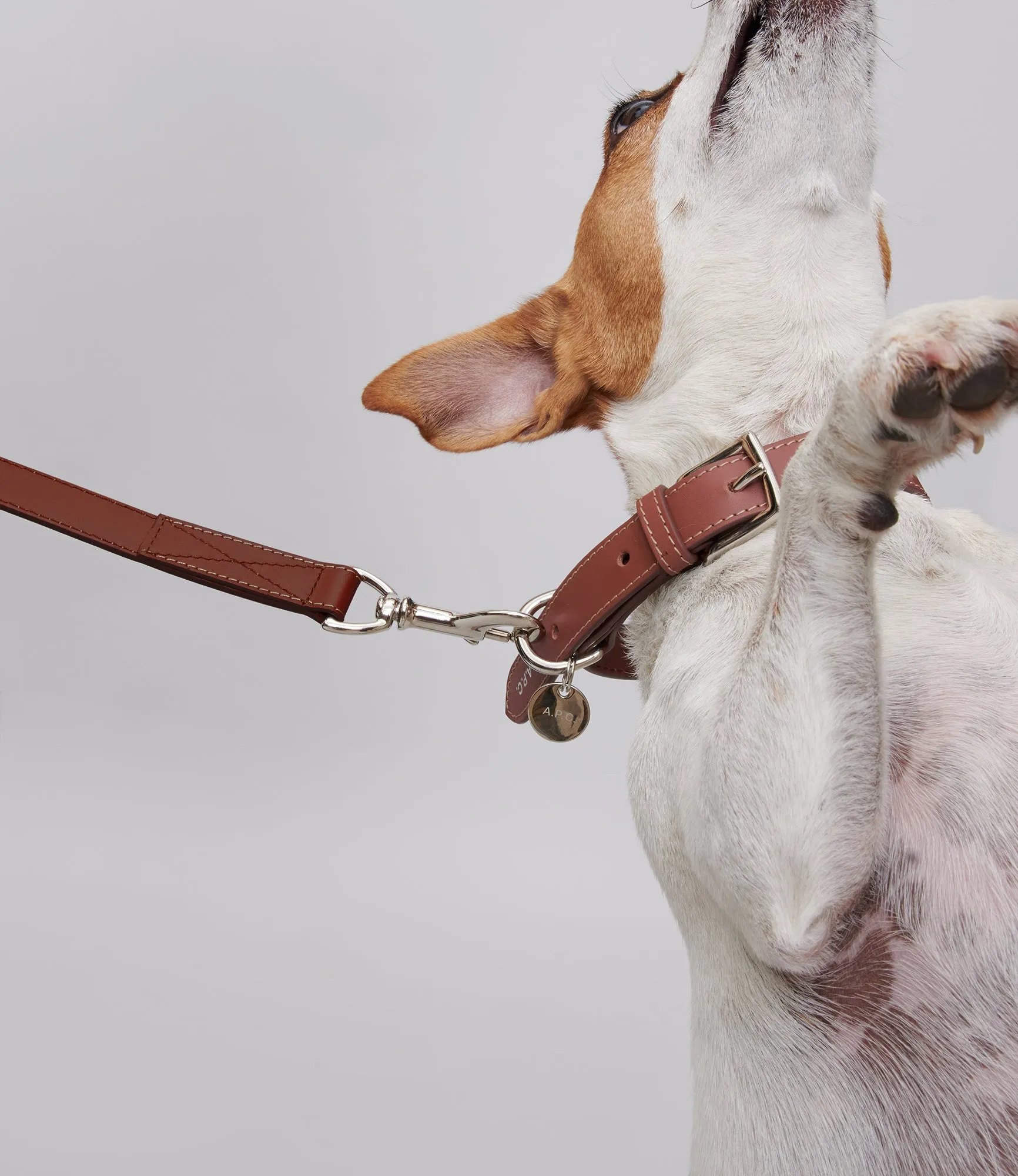 Toutou leather leash sold by A.P.C. product image thumbnail 2