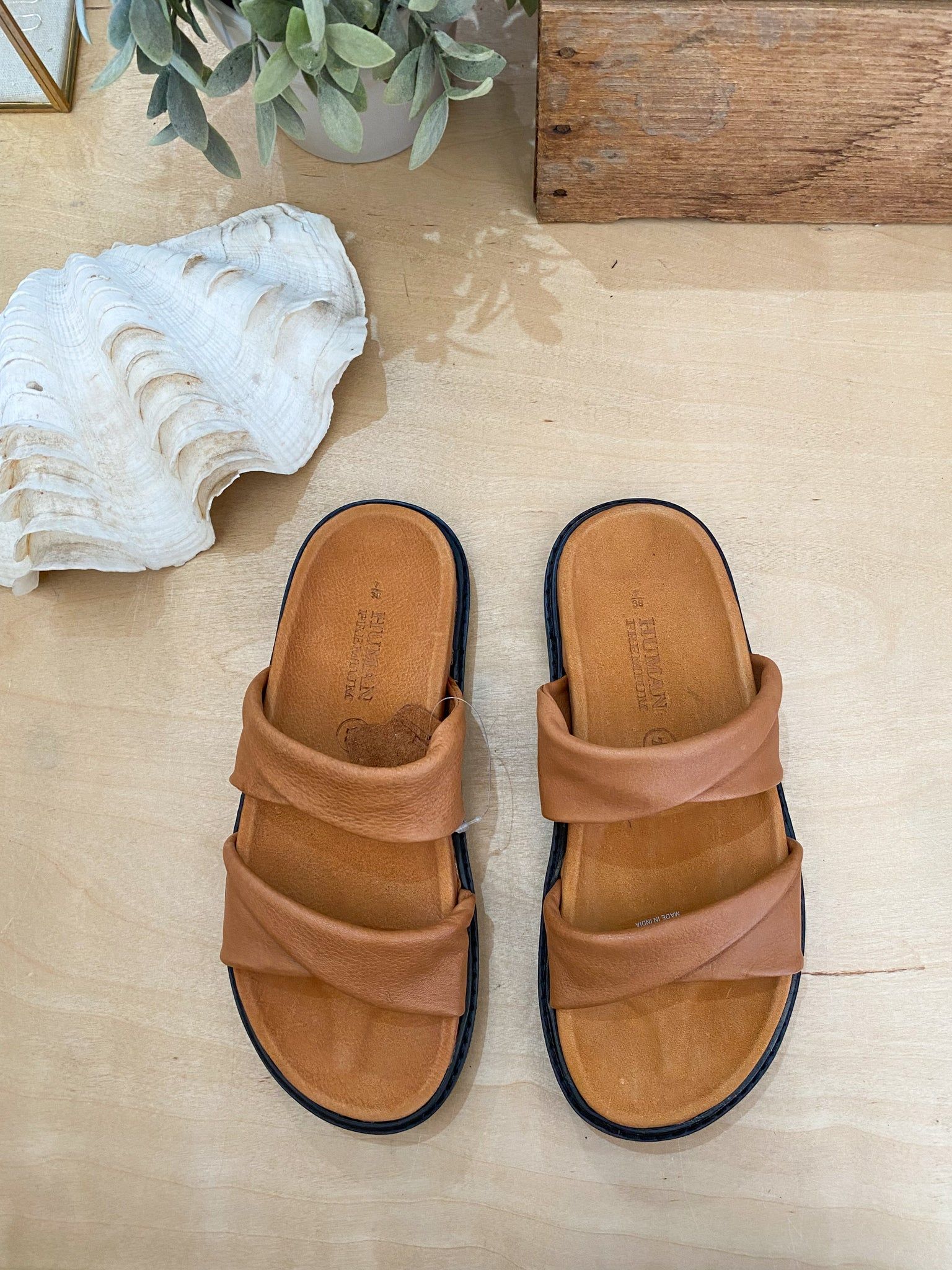 Ahoy Slides Tan sold by About A Girl product image thumbnail 6