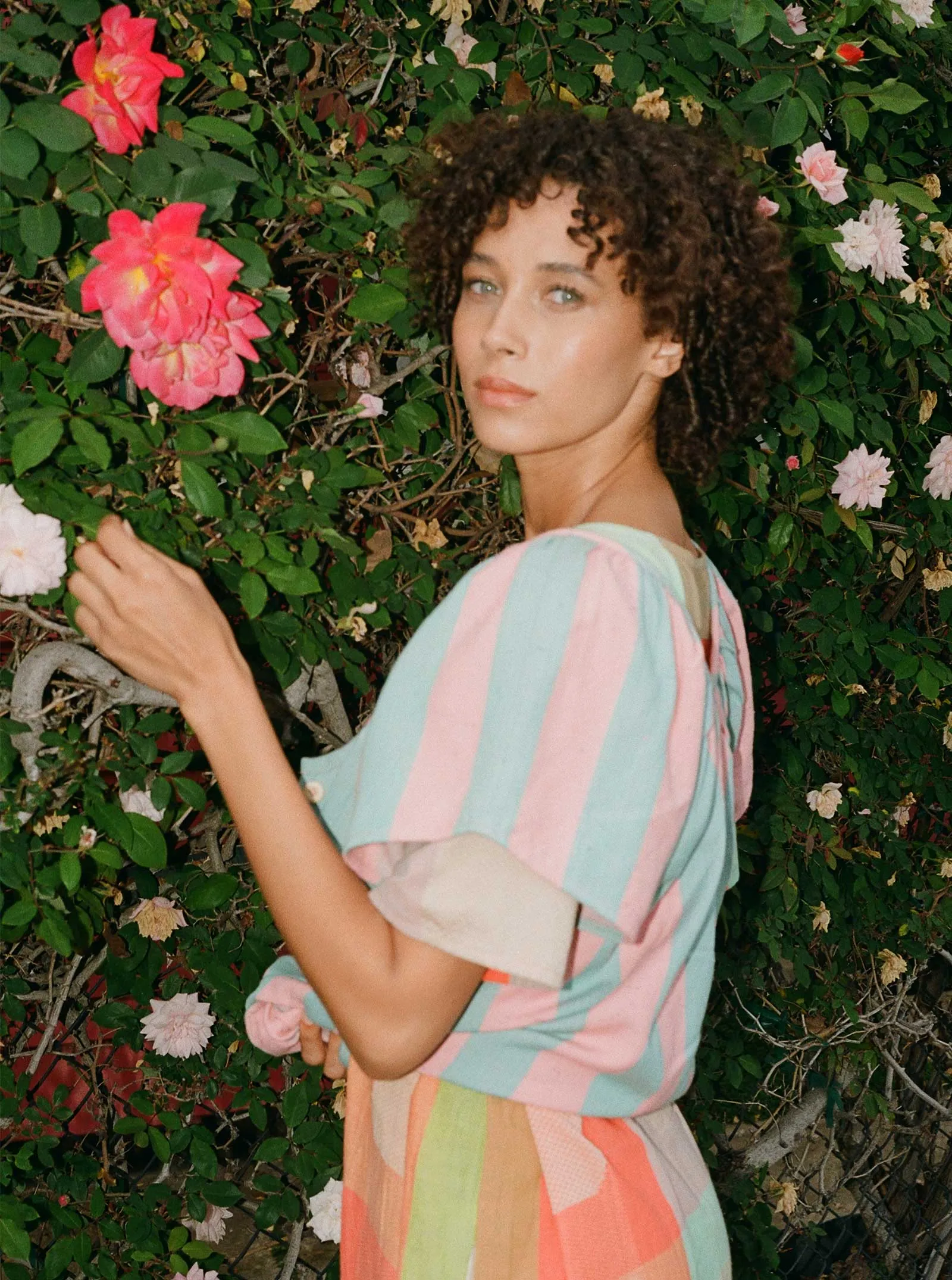 sample sale | florence top cotton candy | XL sold by Ace & Jig product image thumbnail 2