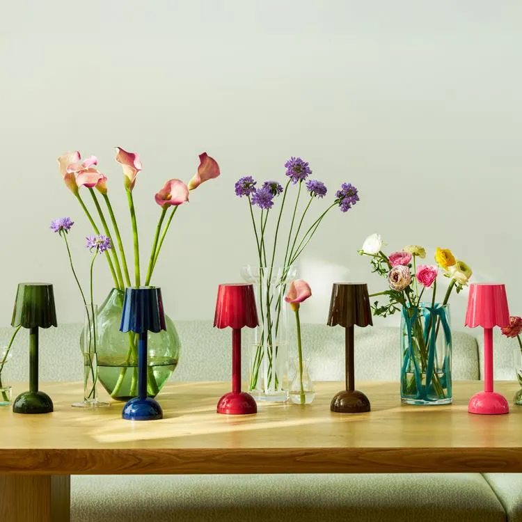 Chocolate Scallop Rechargeable LED Lamp sold by Addison Ross product image thumbnail 3