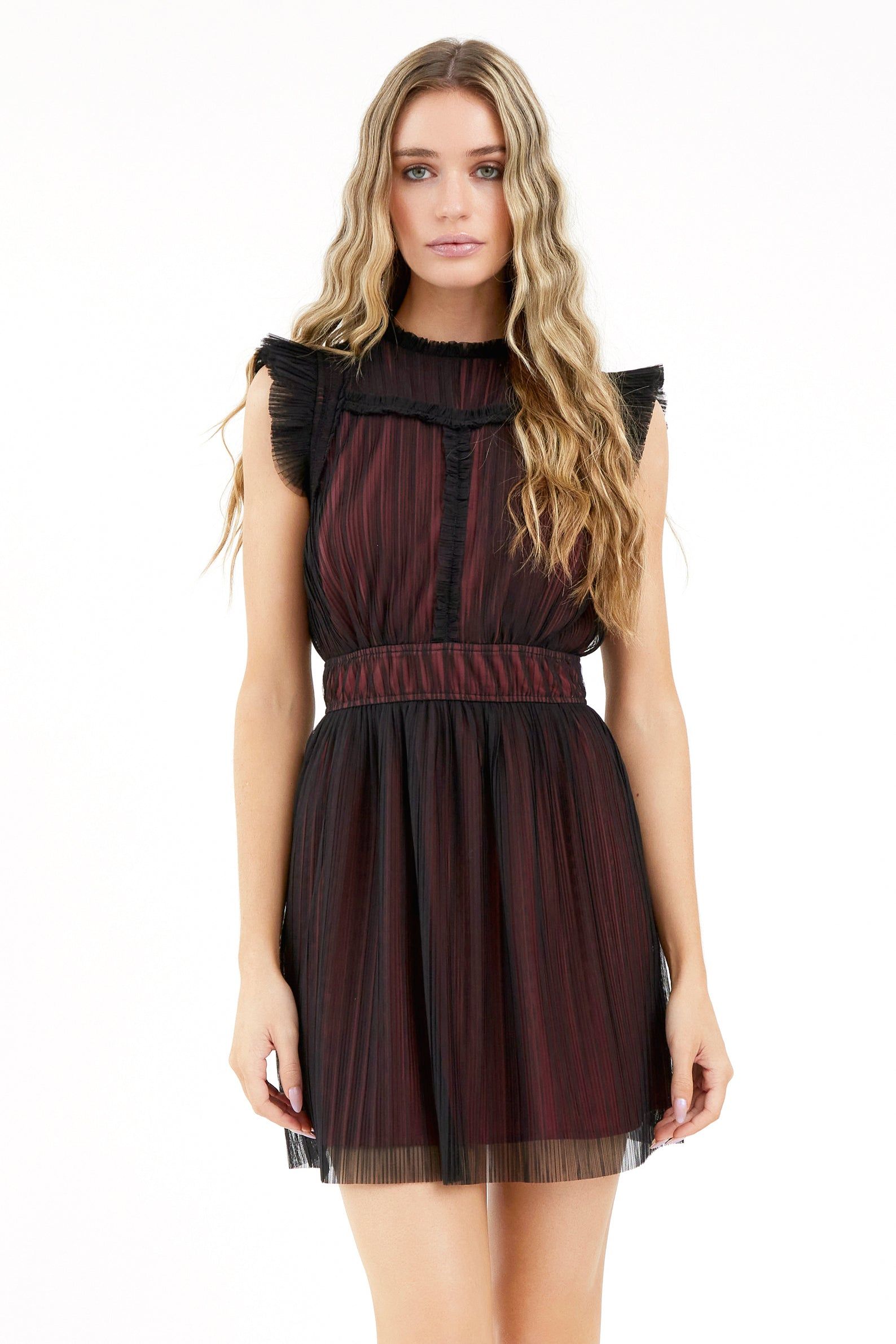 Tatiana Tulle Plisse Mock Neck Mini Dress sold by Adelyn Rae product image thumbnail 2