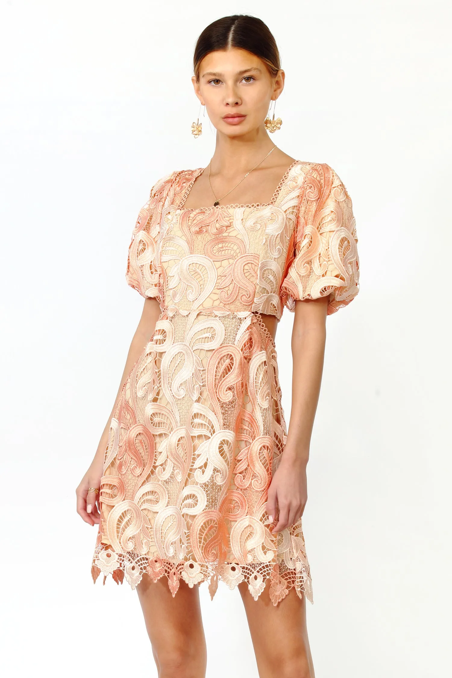 Giselle Ombre Lace Puff Sleeve Cut Out Dress sold by Adelyn Rae
