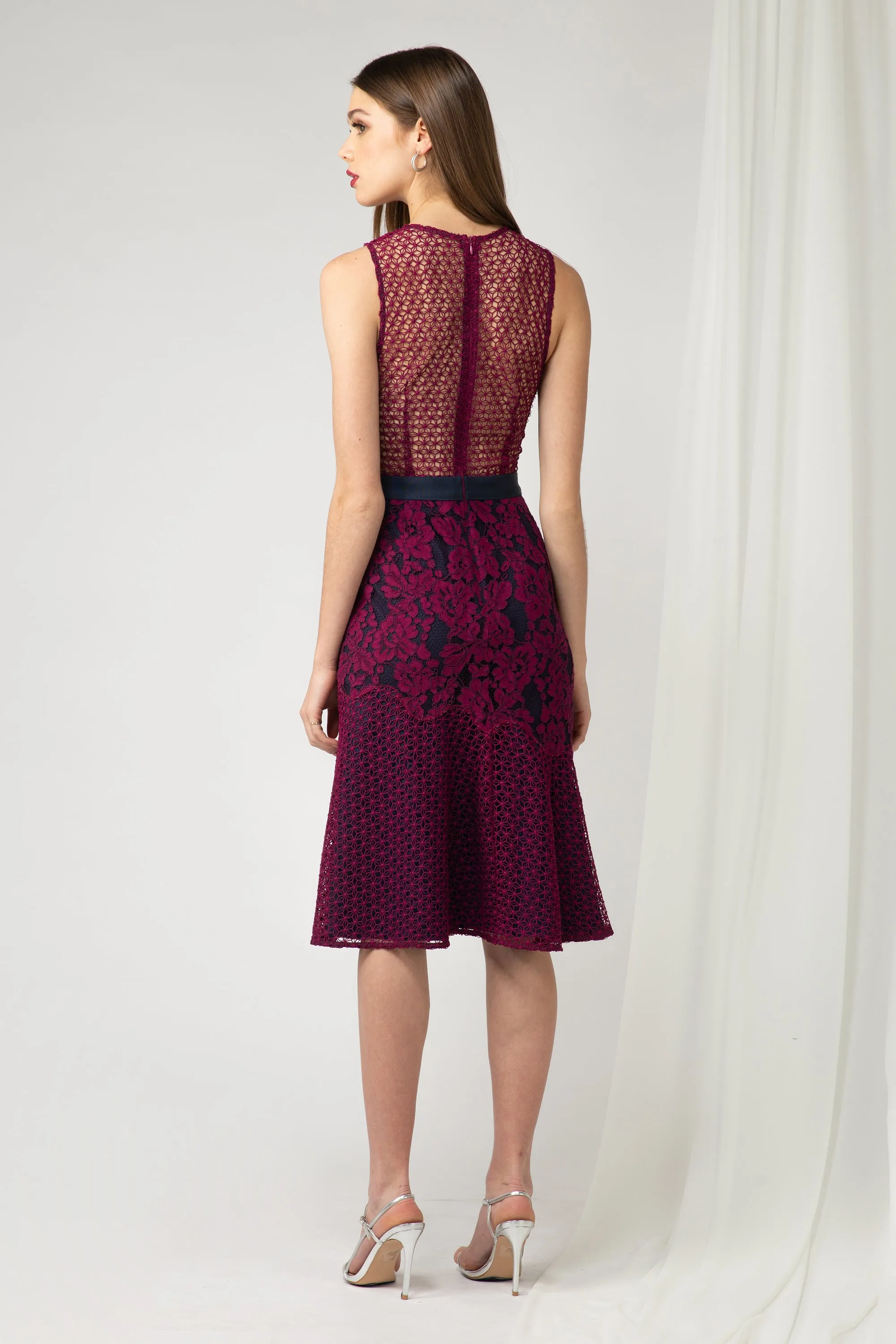 Sonya lace Dress - FINAL SALE sold by Adelyn Rae product image thumbnail 2