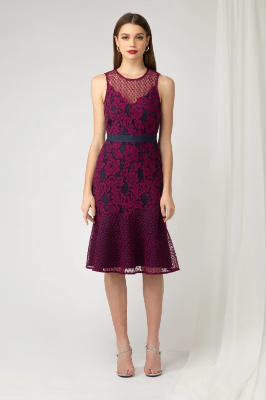 Sonya lace Dress - FINAL SALE sold by Adelyn Rae