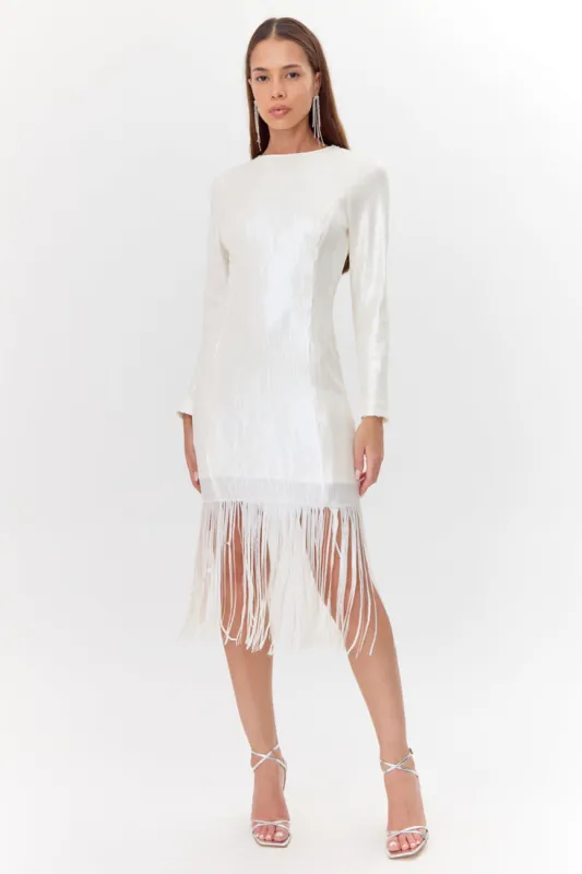 Gelissa Sequins Fringe Dress sold by Adelyn Rae