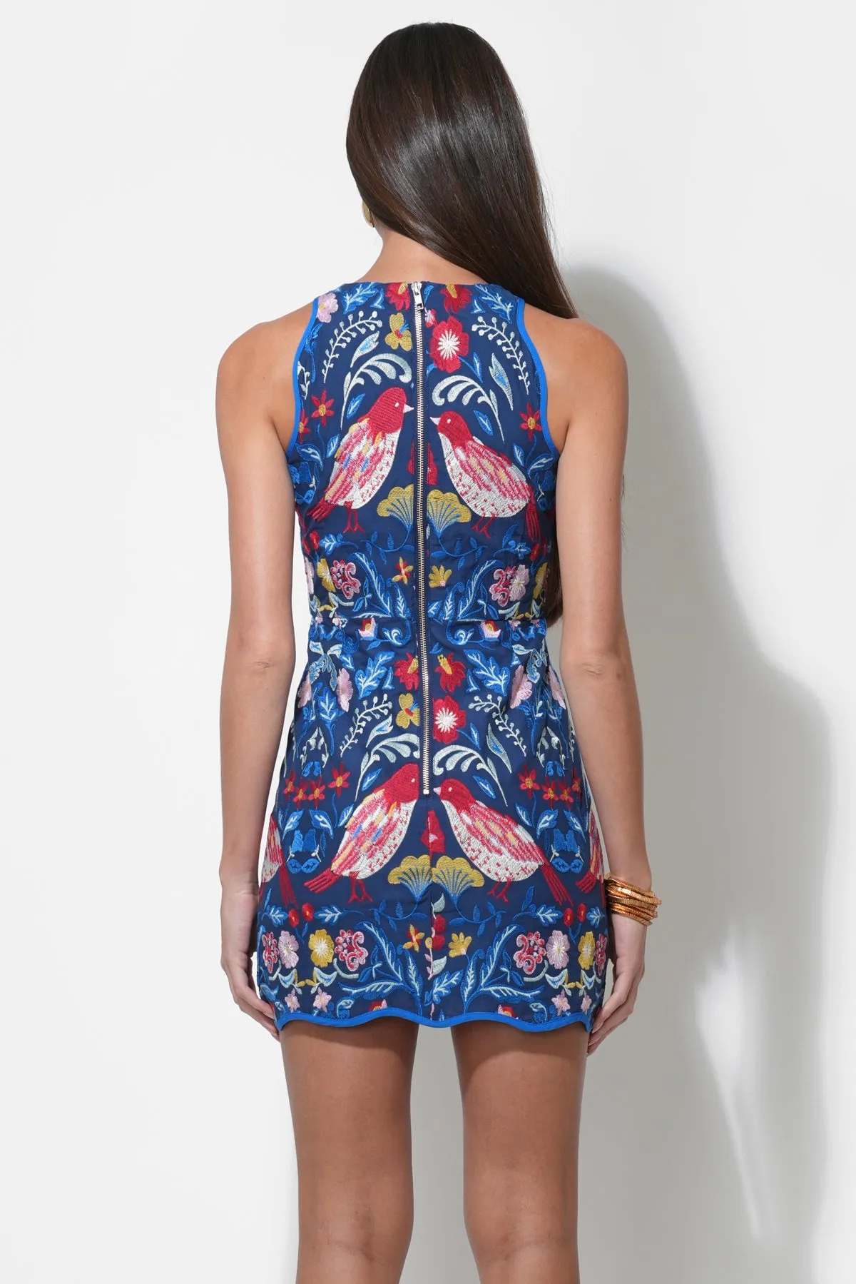 Jayz Embroidered Mini Dress sold by Adelyn Rae product image thumbnail 5