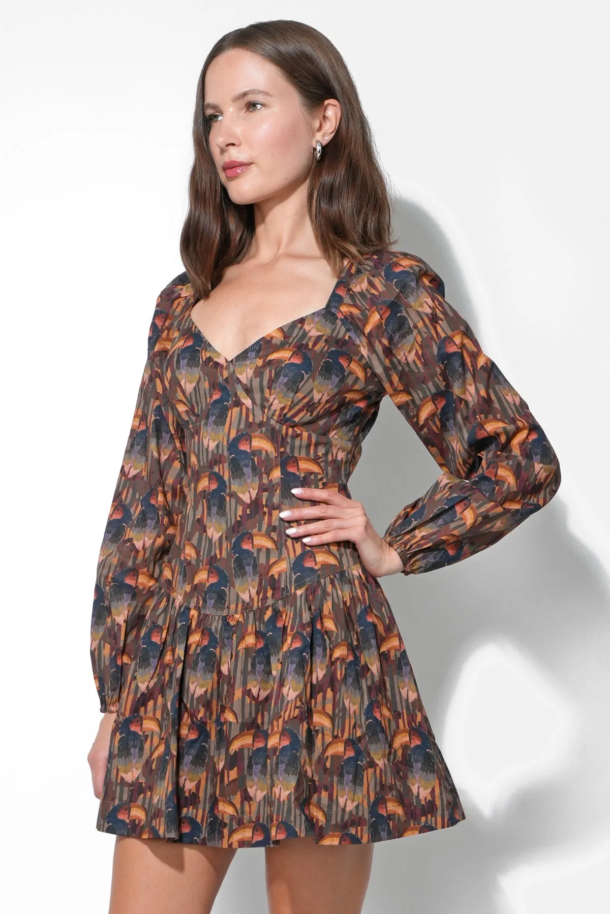 Polly Printed Fit and Flare Dress sold by Adelyn Rae product image thumbnail 4