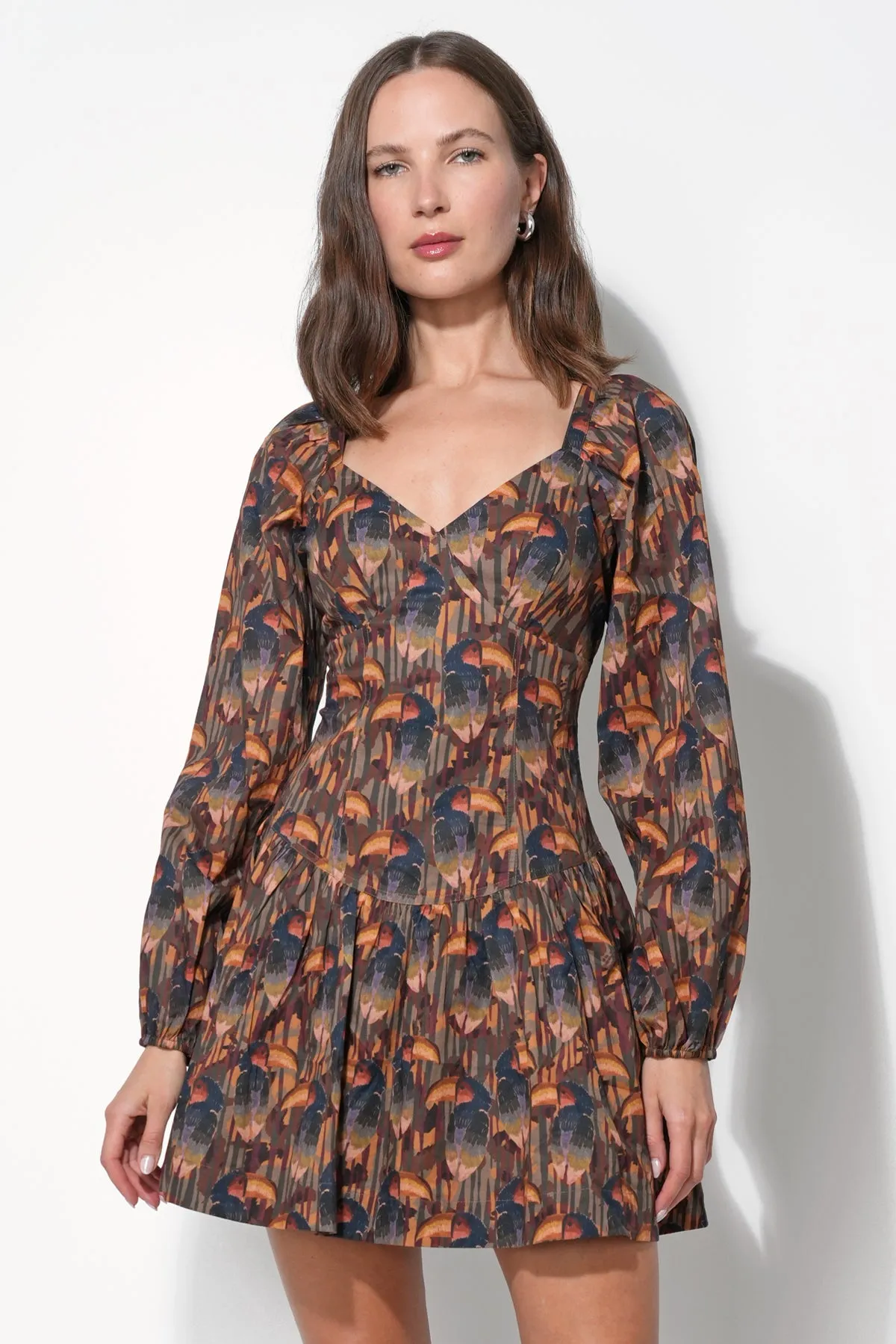 Polly Printed Fit and Flare Dress sold by Adelyn Rae product image thumbnail 5
