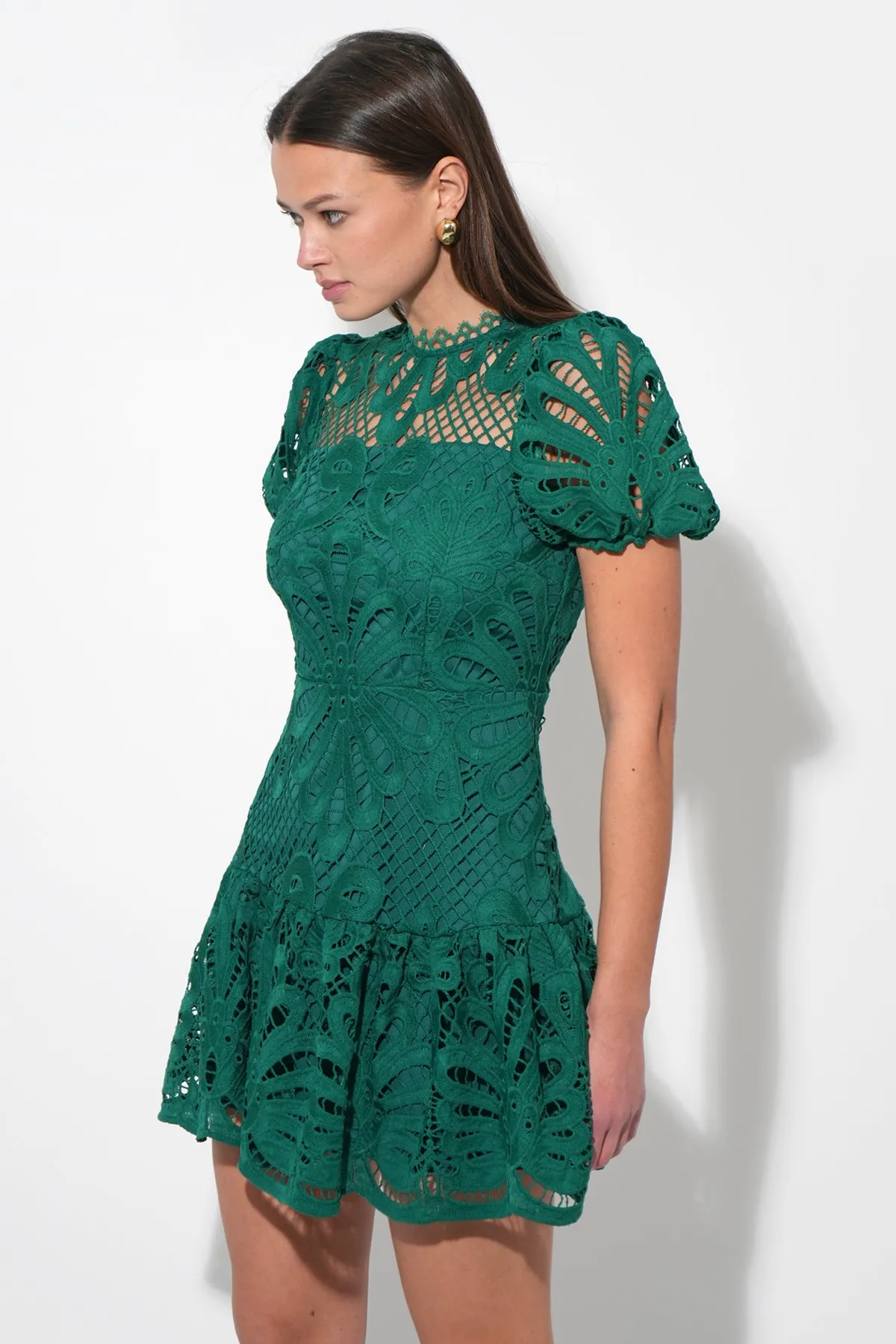 Clarisse A Line Placement Lace Dress sold by Adelyn Rae product image thumbnail 3