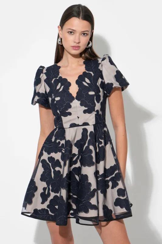 Agnes Embroidered Puff Sleeve Mini Dress sold by Adelyn Rae