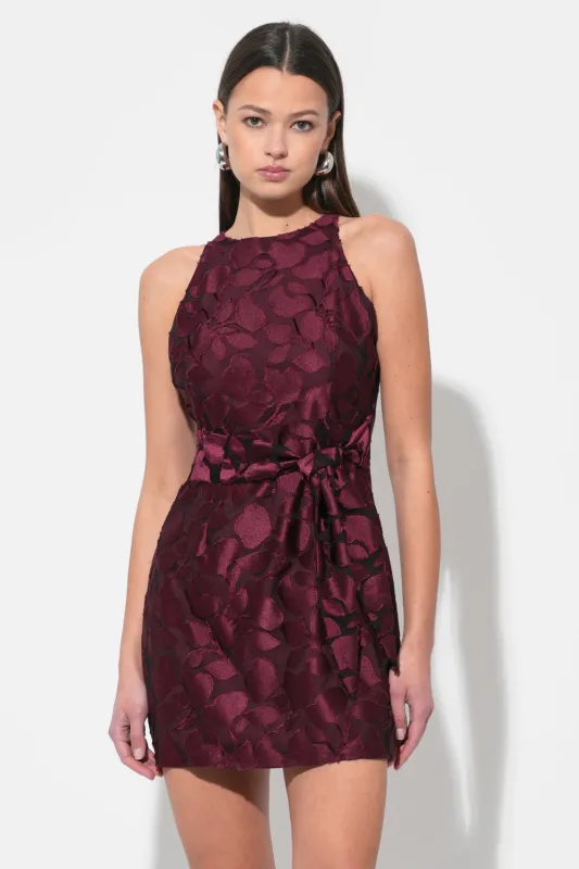 Falini Velvet Burnout Tie Front Mini Dress sold by Adelyn Rae