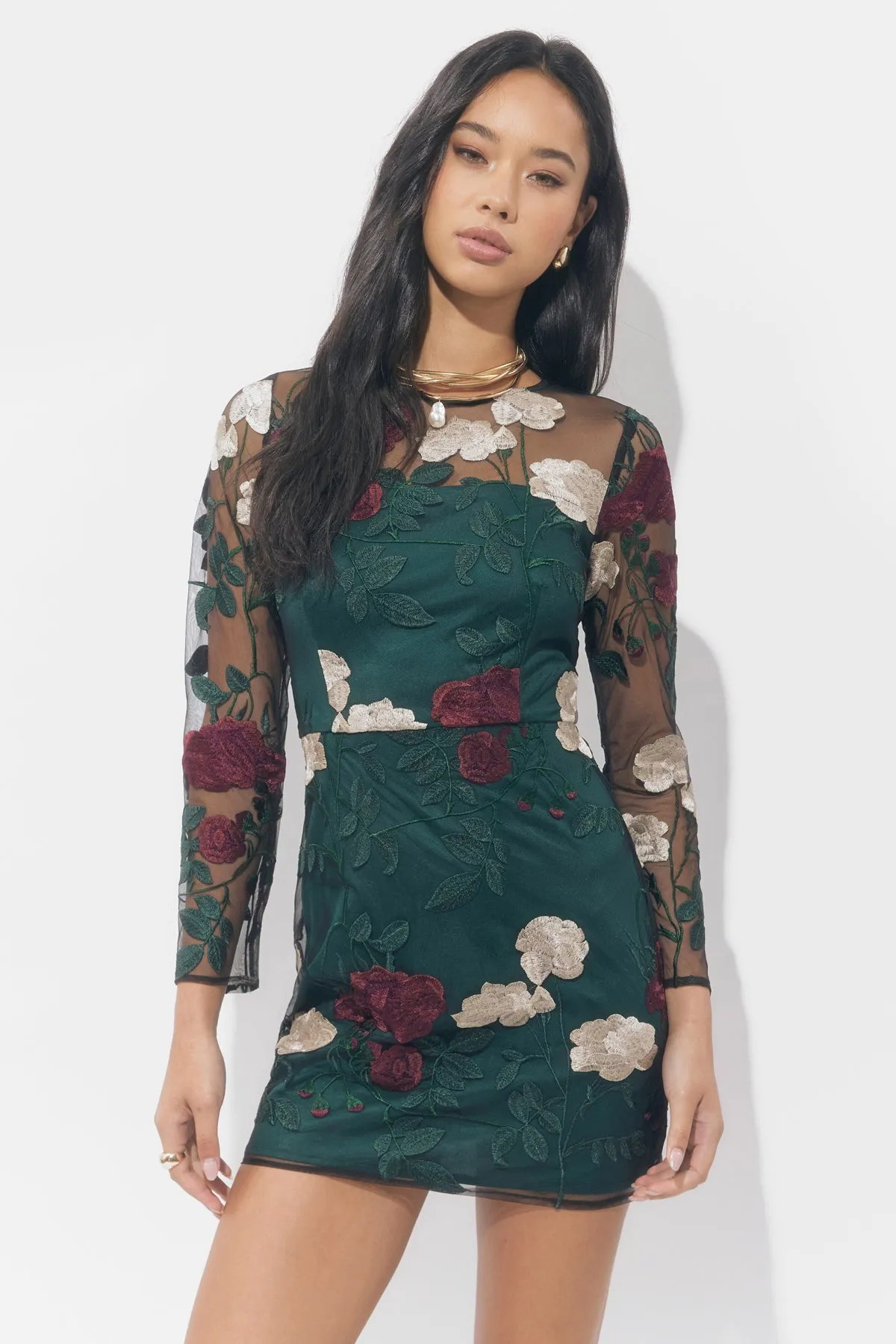 Noia Embroiled Mini Dress sold by Adelyn Rae product image thumbnail 3