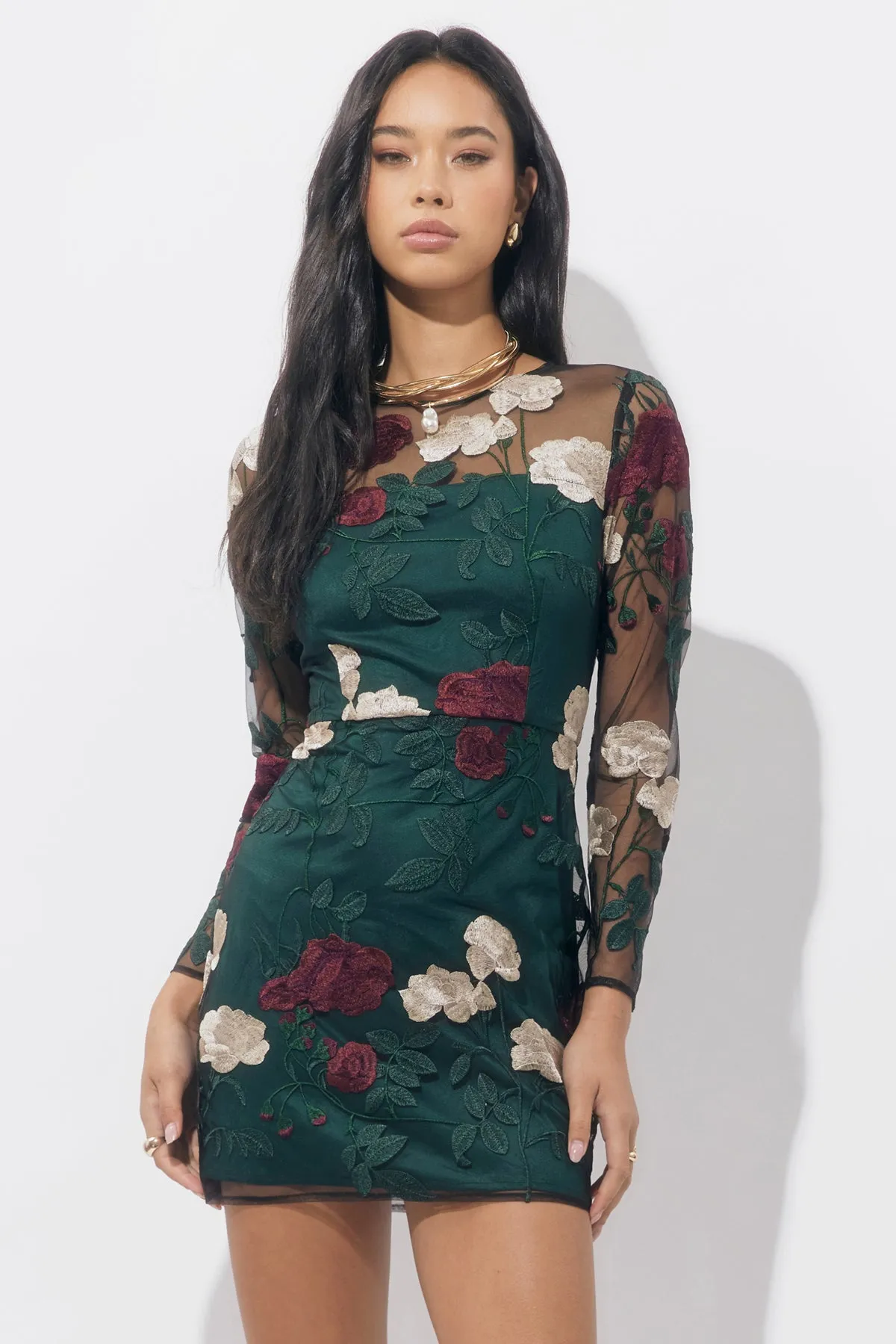 Noia Embroiled Mini Dress sold by Adelyn Rae product image thumbnail 4