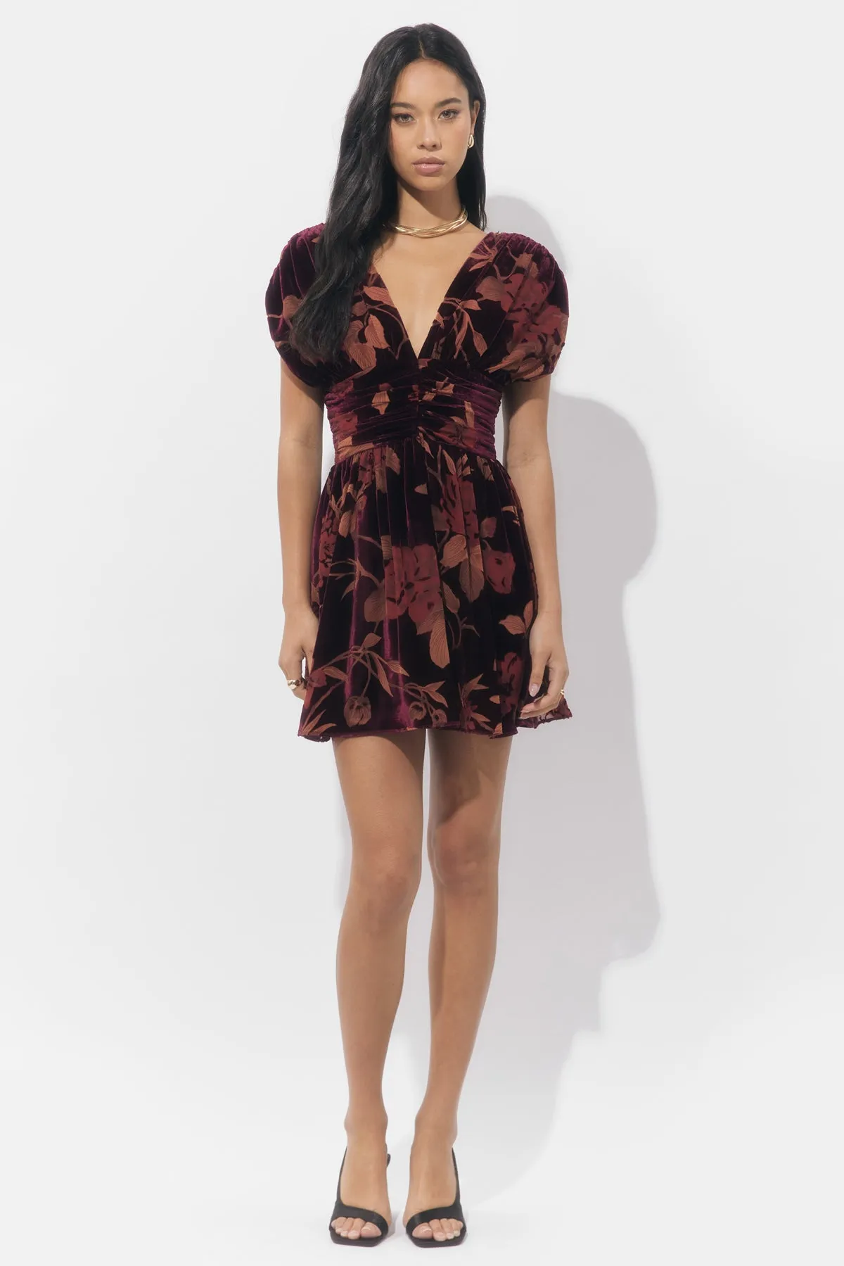 Myla Ruched Velvet Burnout Mini Dress sold by Adelyn Rae product image thumbnail 4